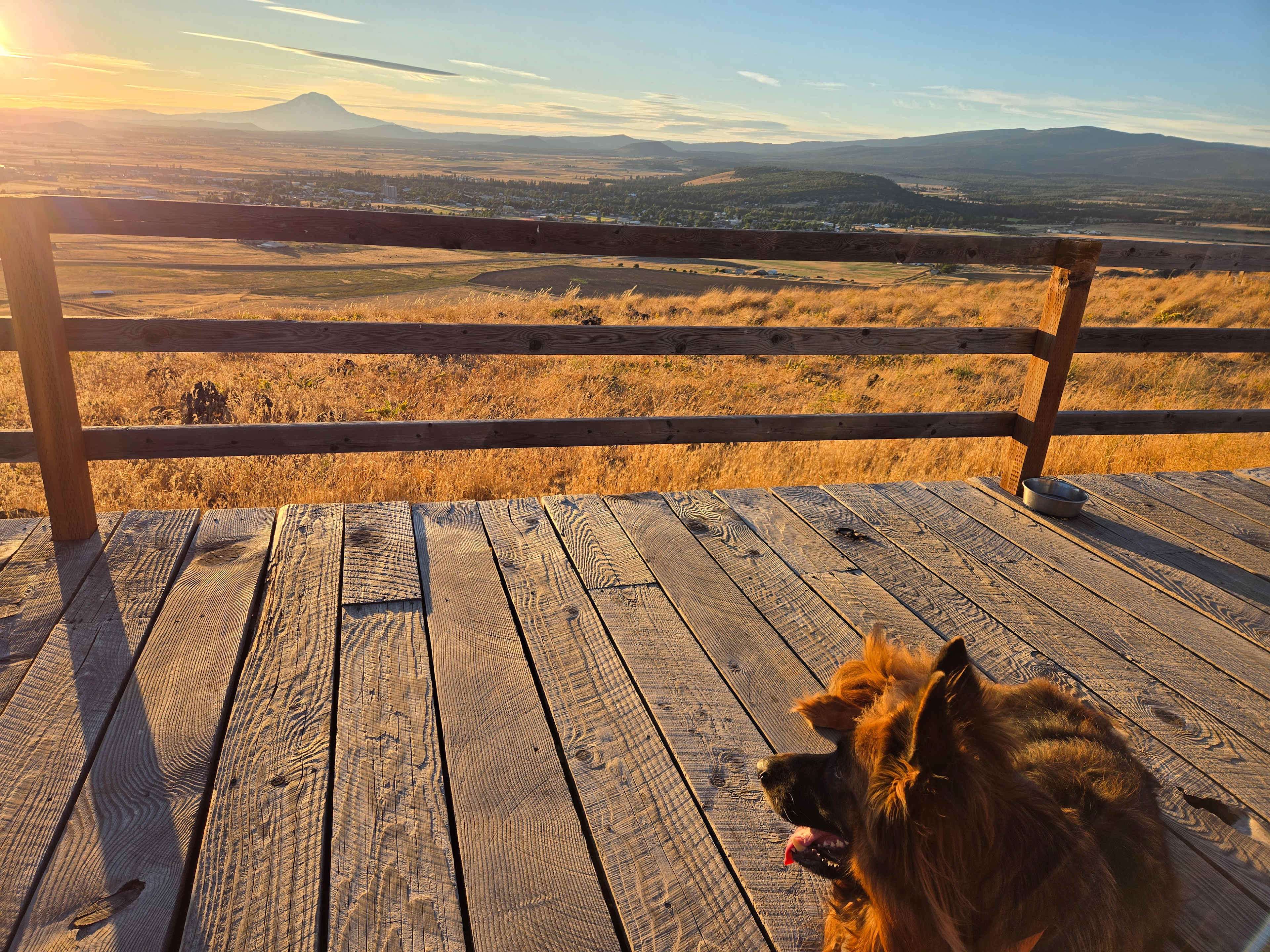 Our dog had a great trip too!