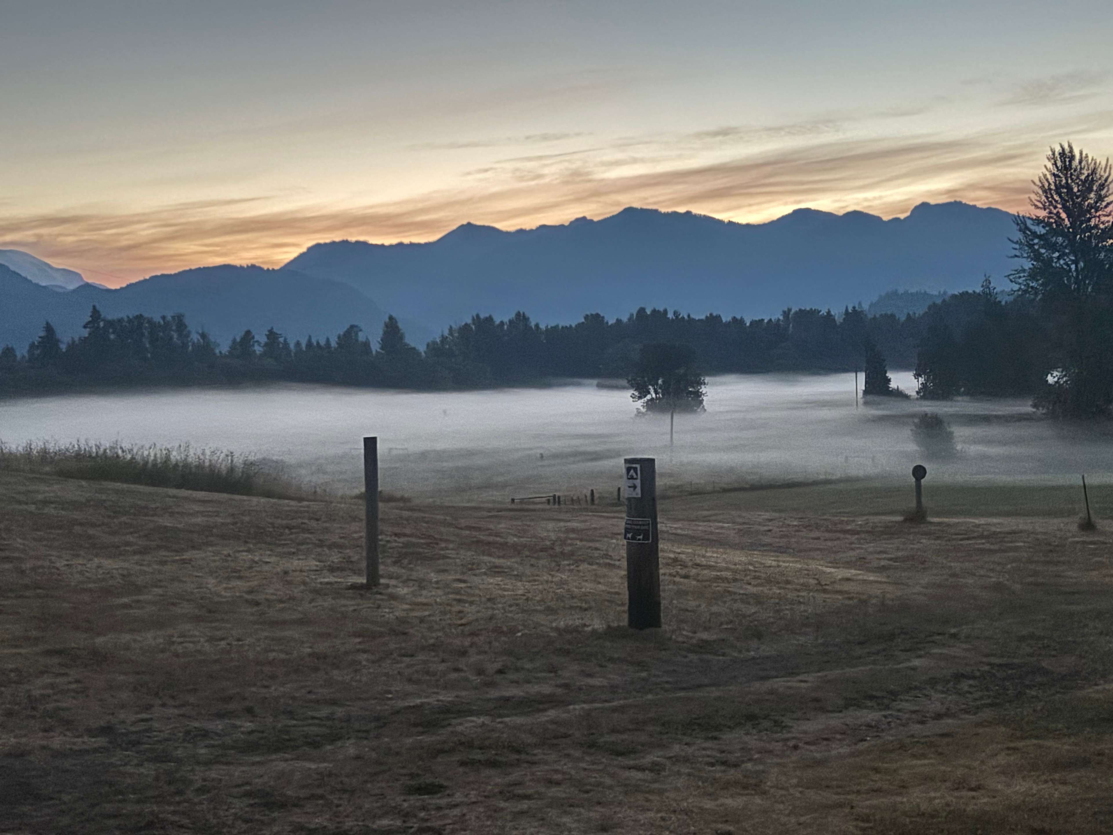 Fog over the meadow in the morning. 