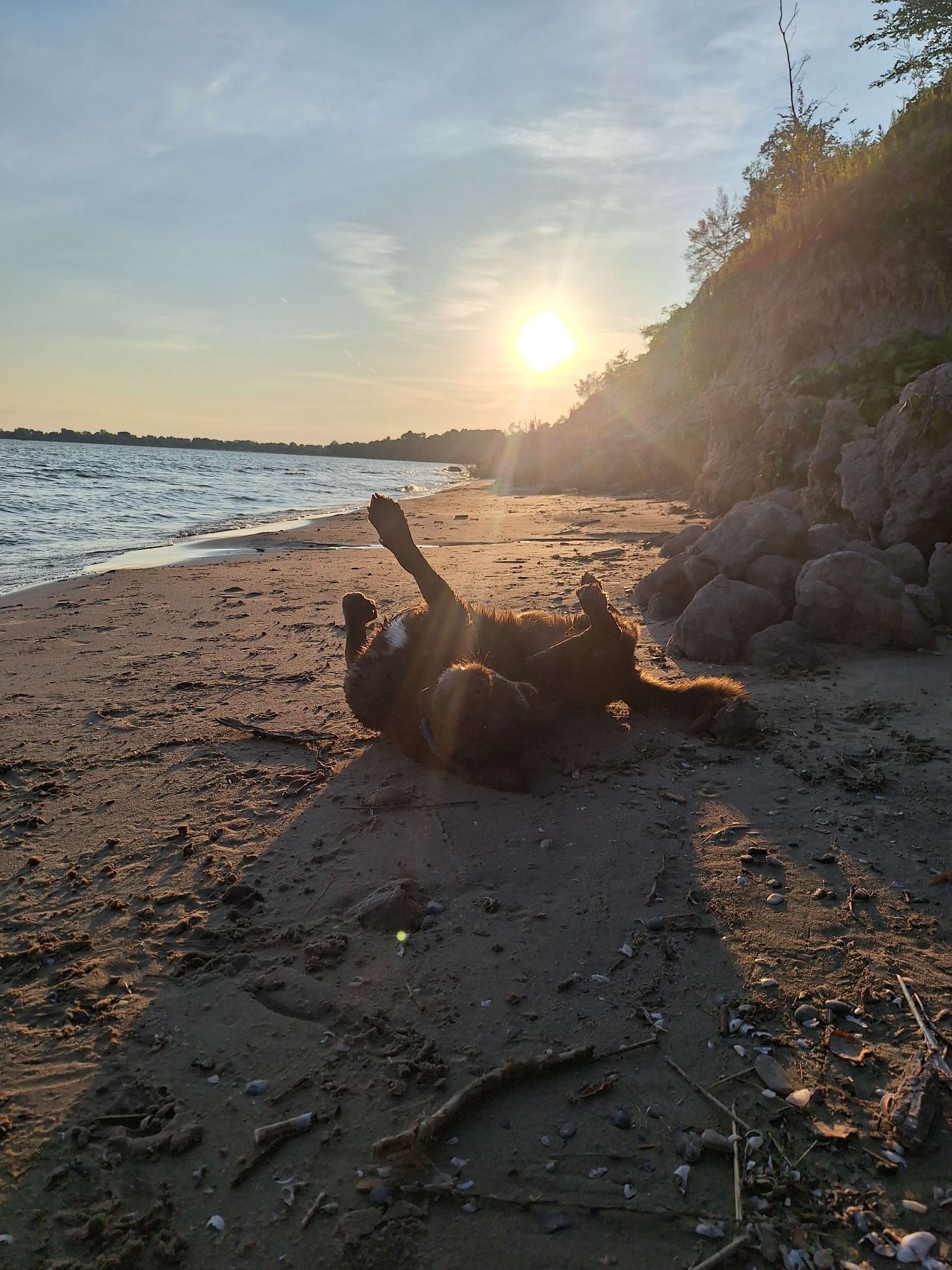 Paradise my pup 💕