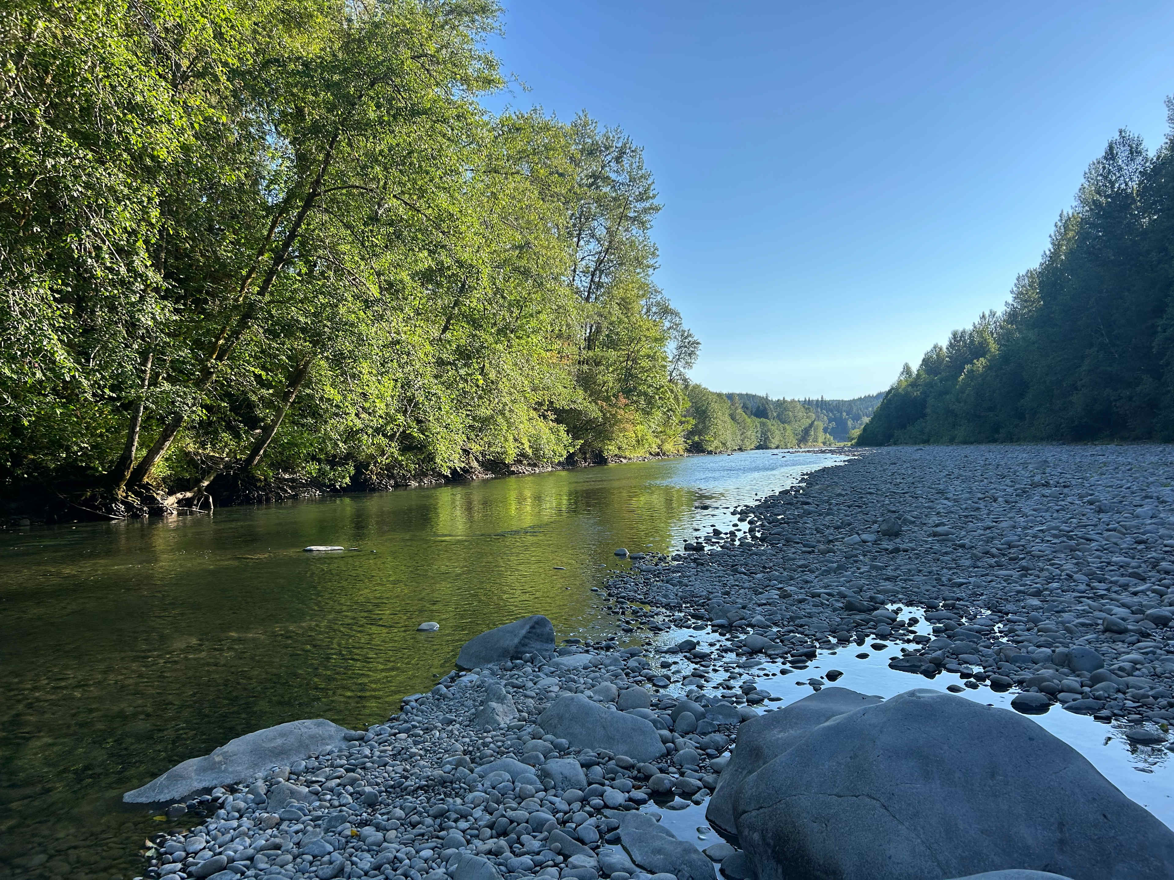 Bogachiel Upriver Campsites