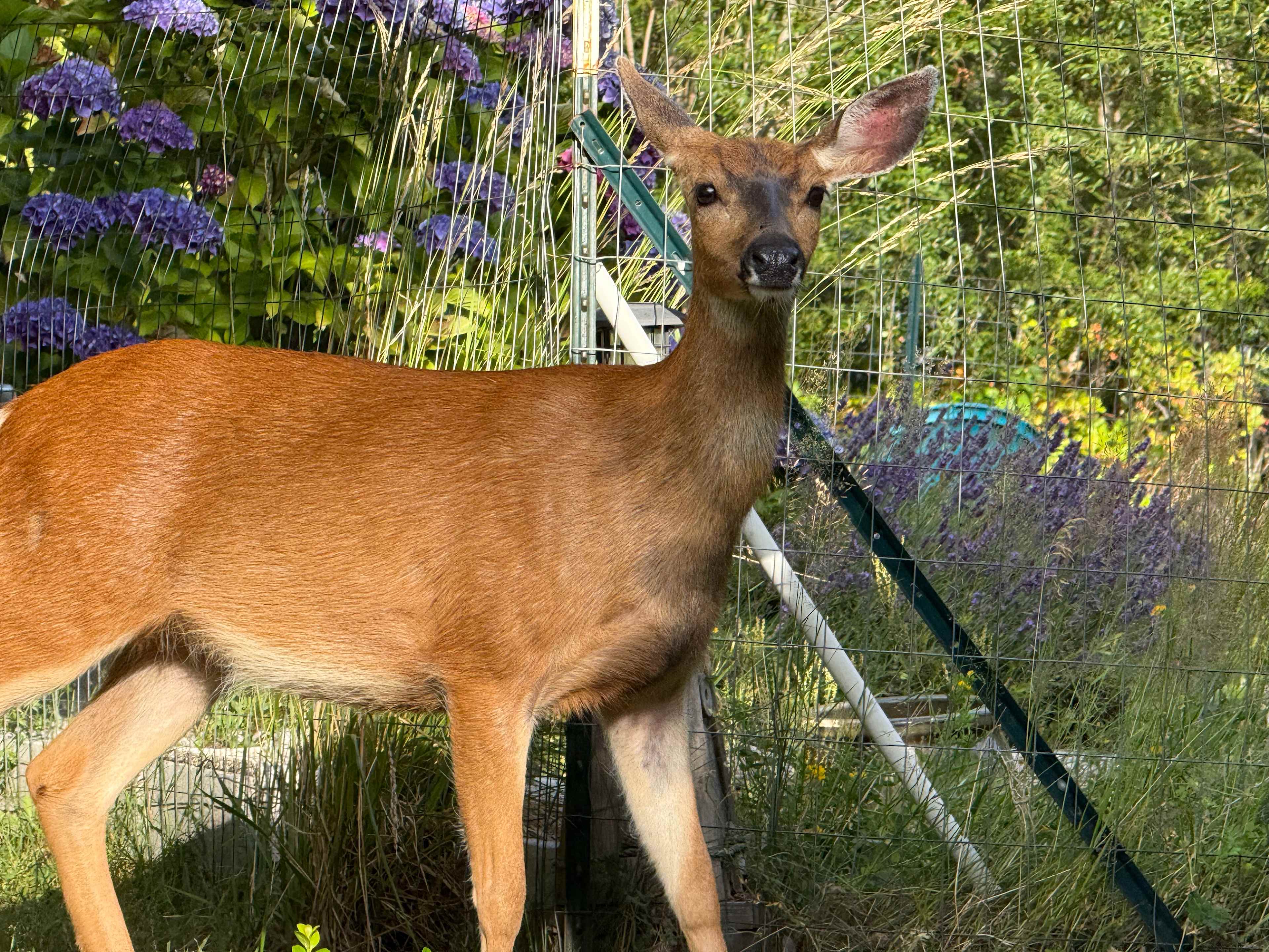 Peaceful Olympic Peninsula RV Sites