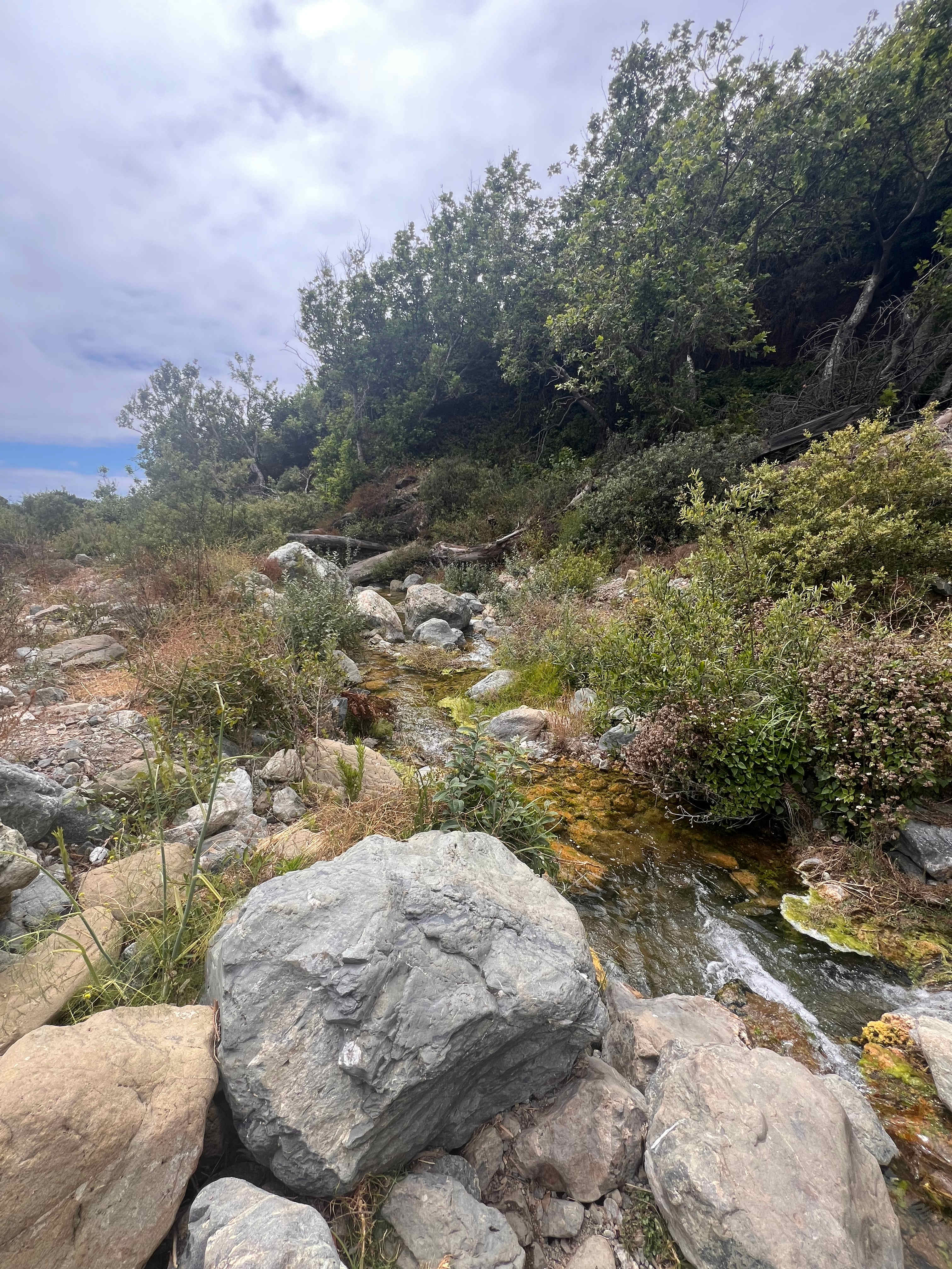 dabudage Big Sur