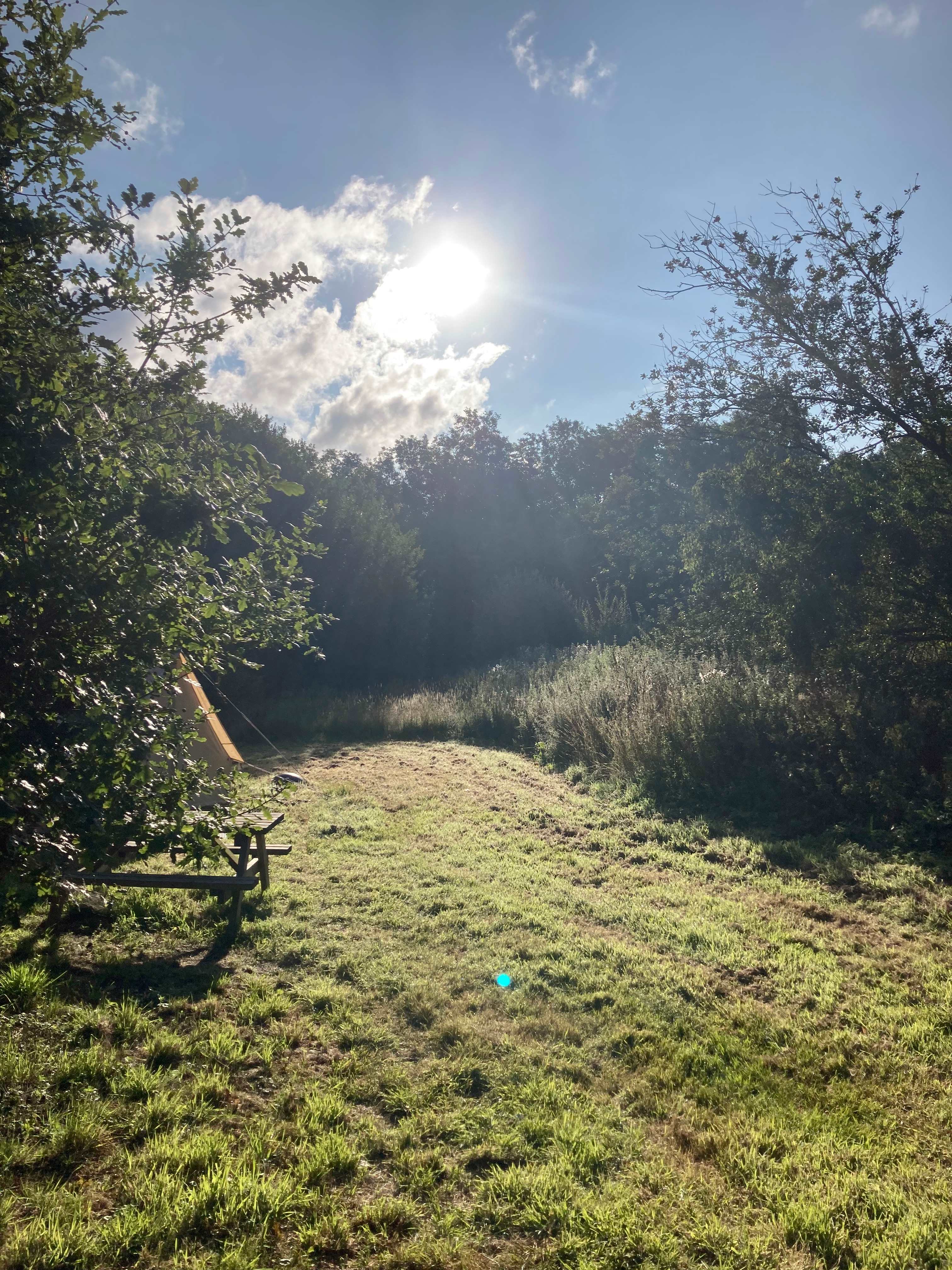 Archer’s Field