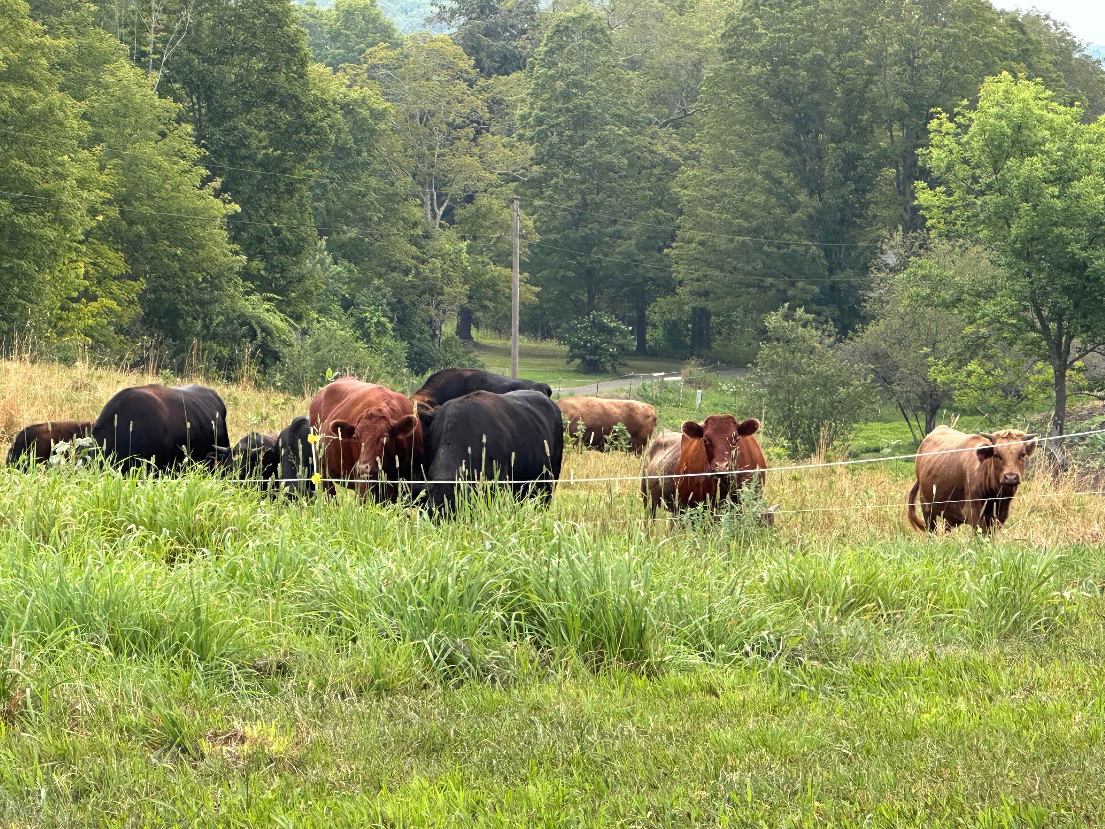 Hearth House Farm