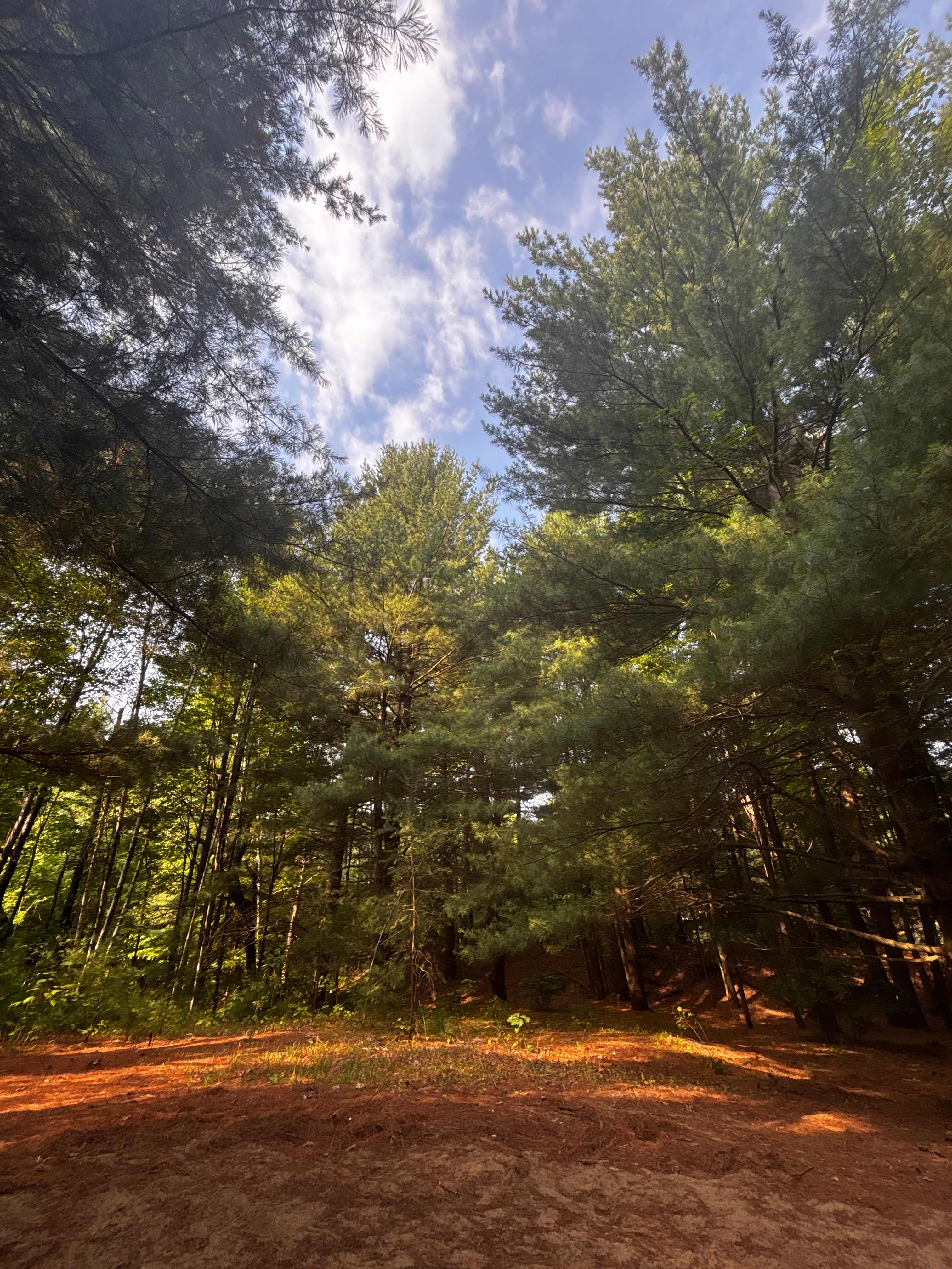 Whispering Pines - Curran, Ontario