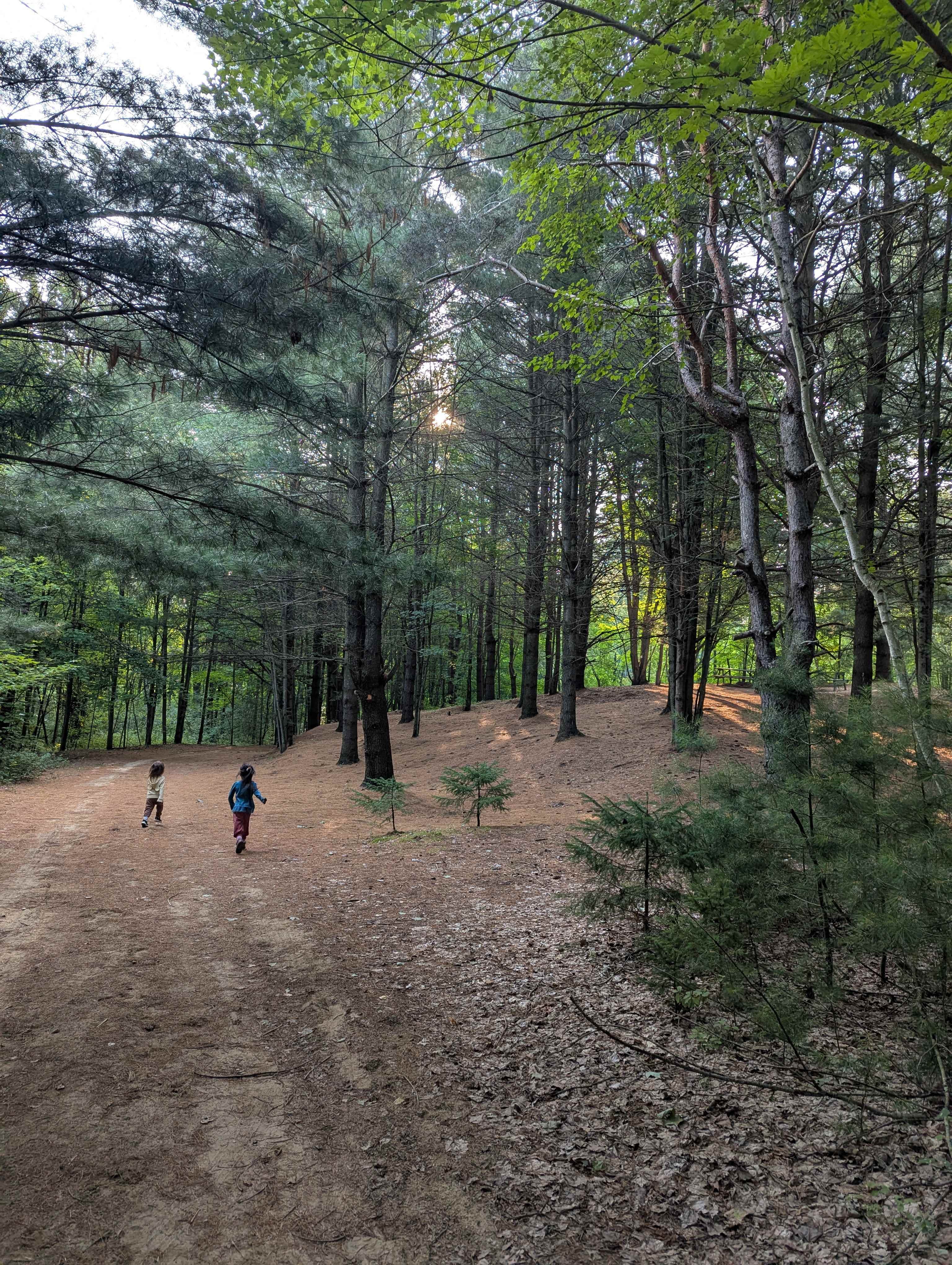 Whispering Pines - Curran, Ontario