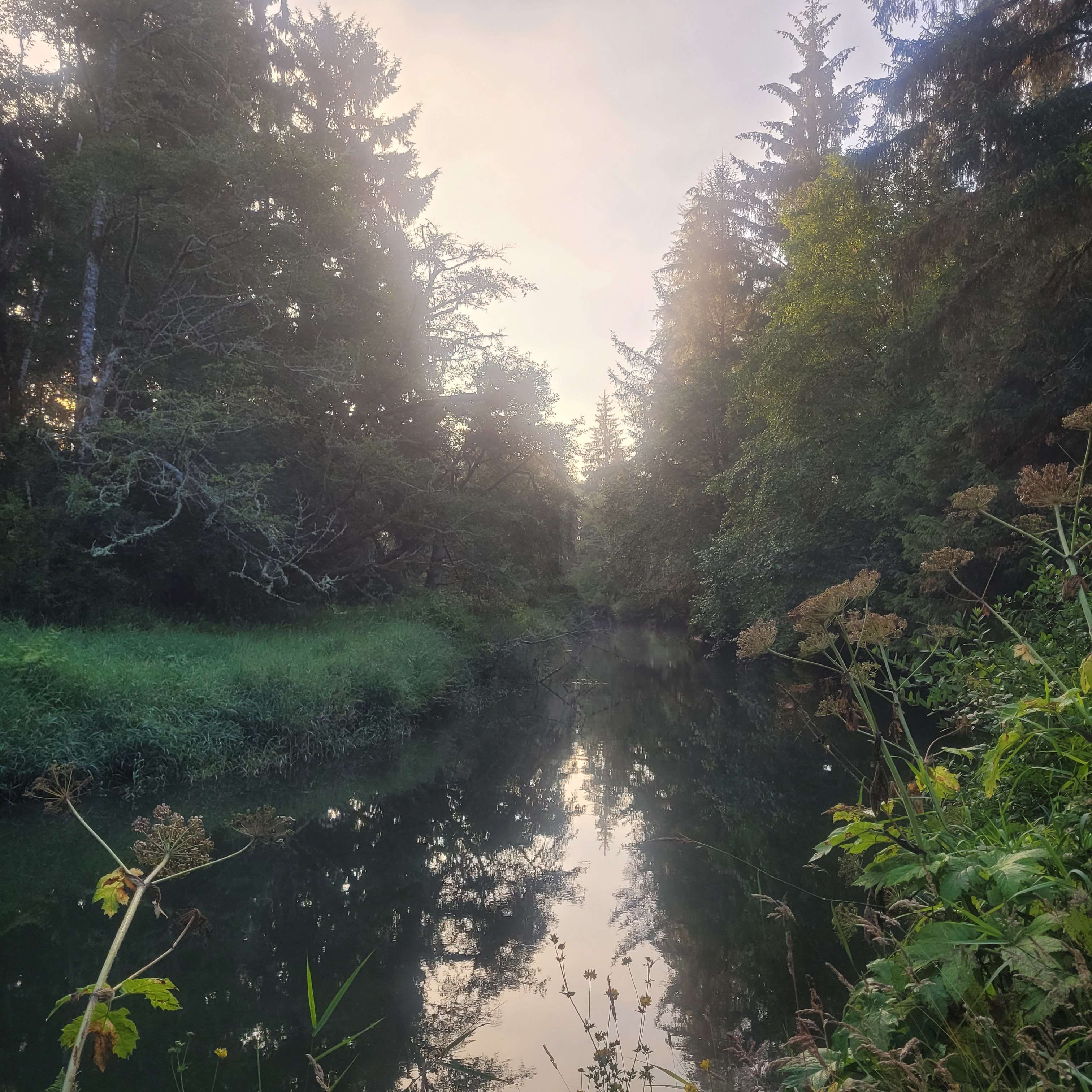 Williams Park campground