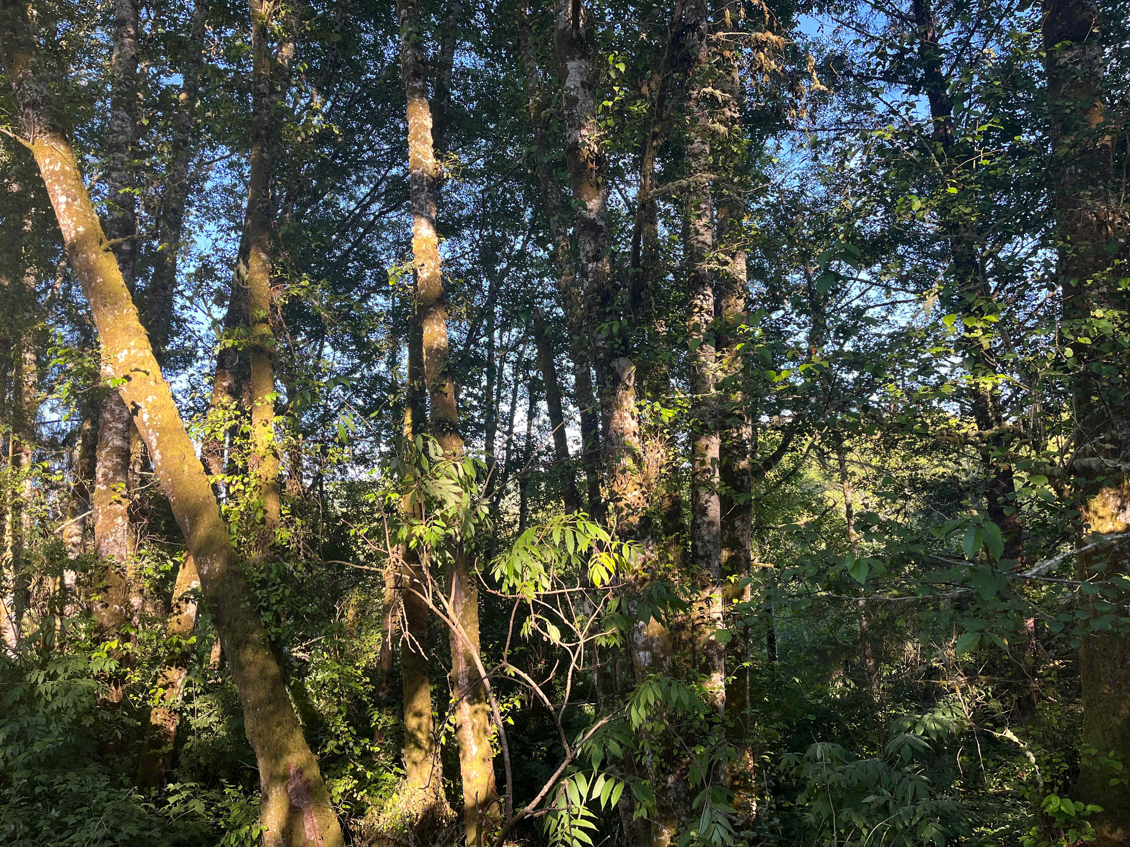 Nature By The Bay