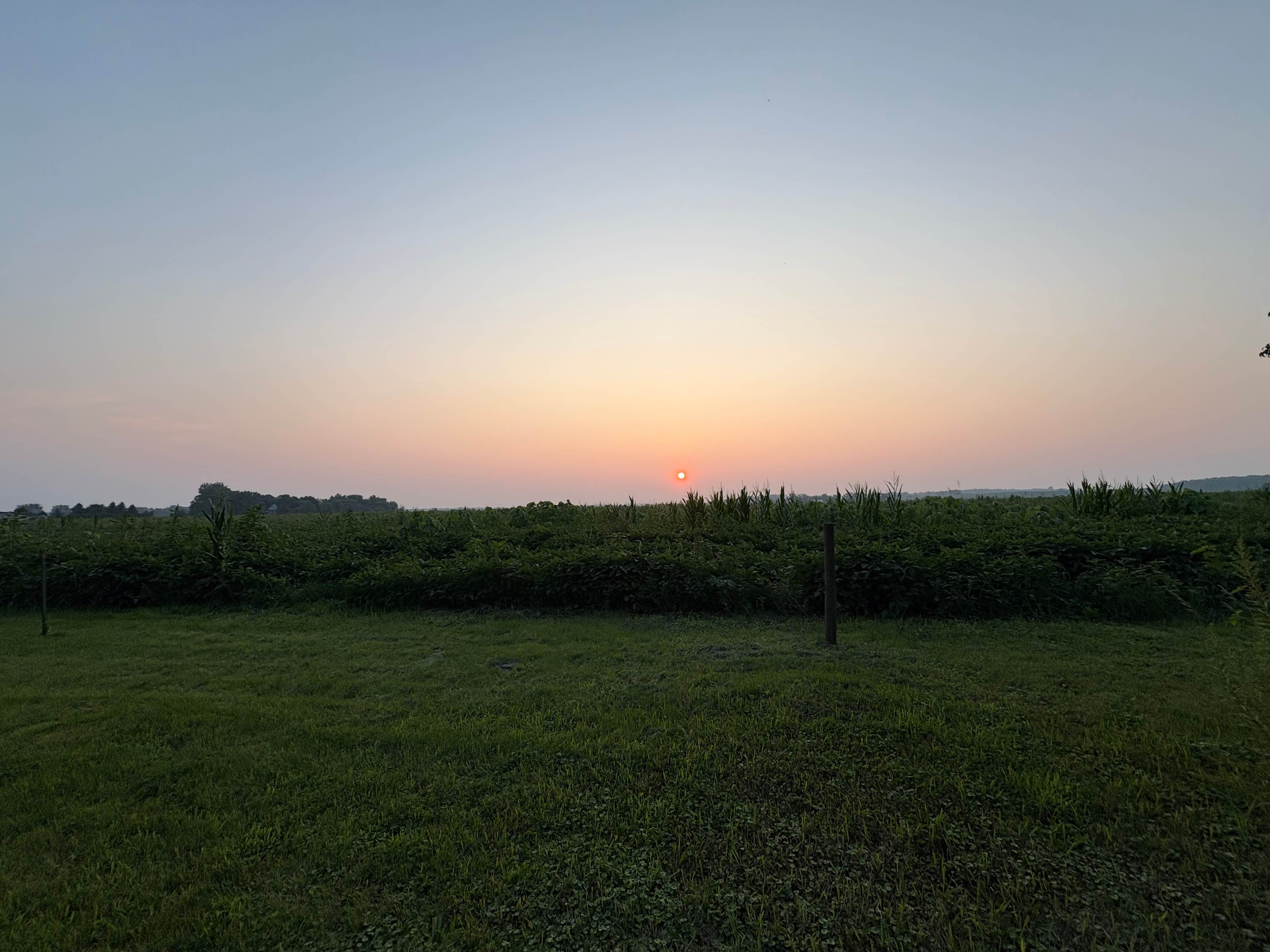 Sunset over the field