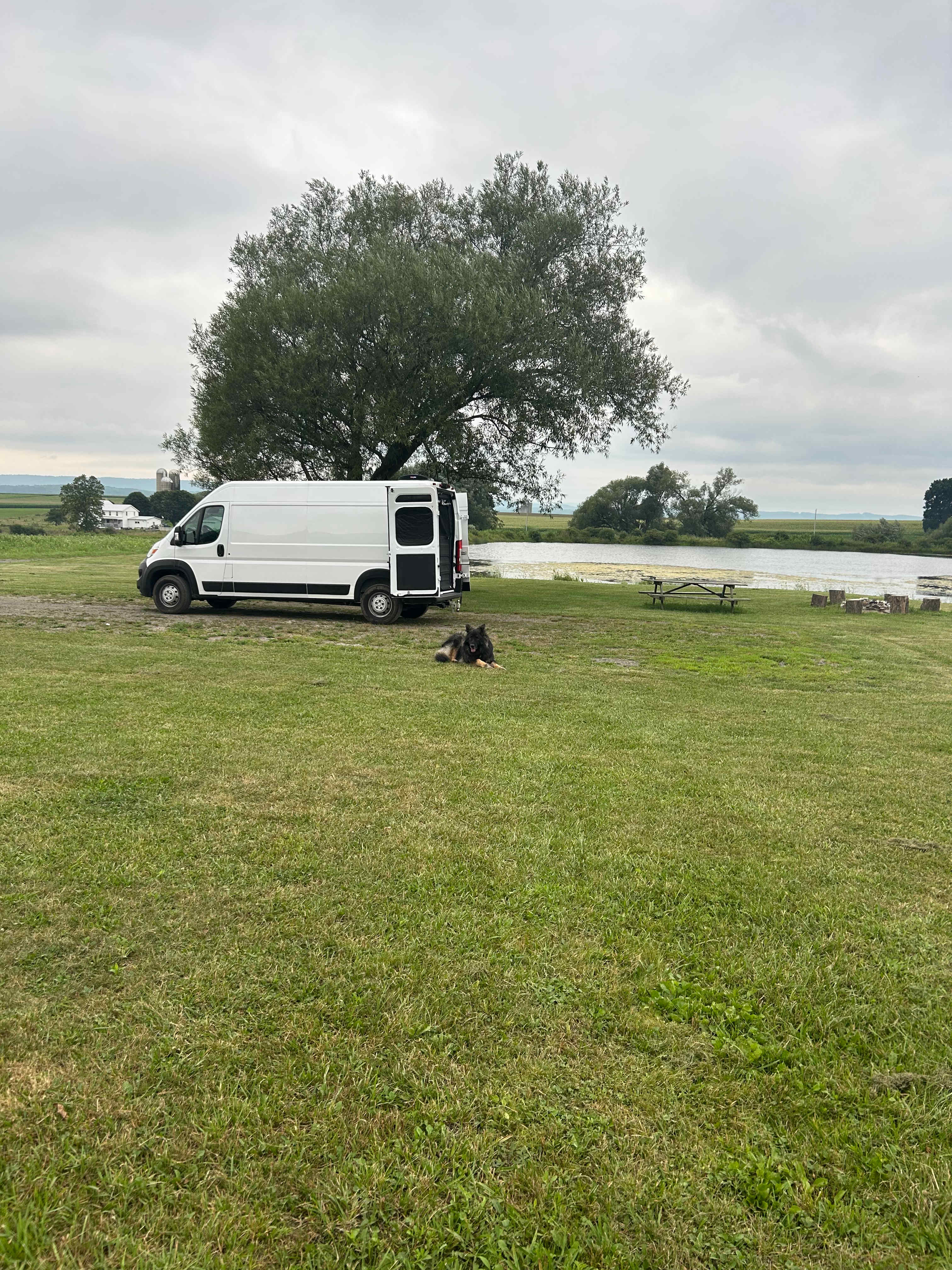 Paradise By The Pond