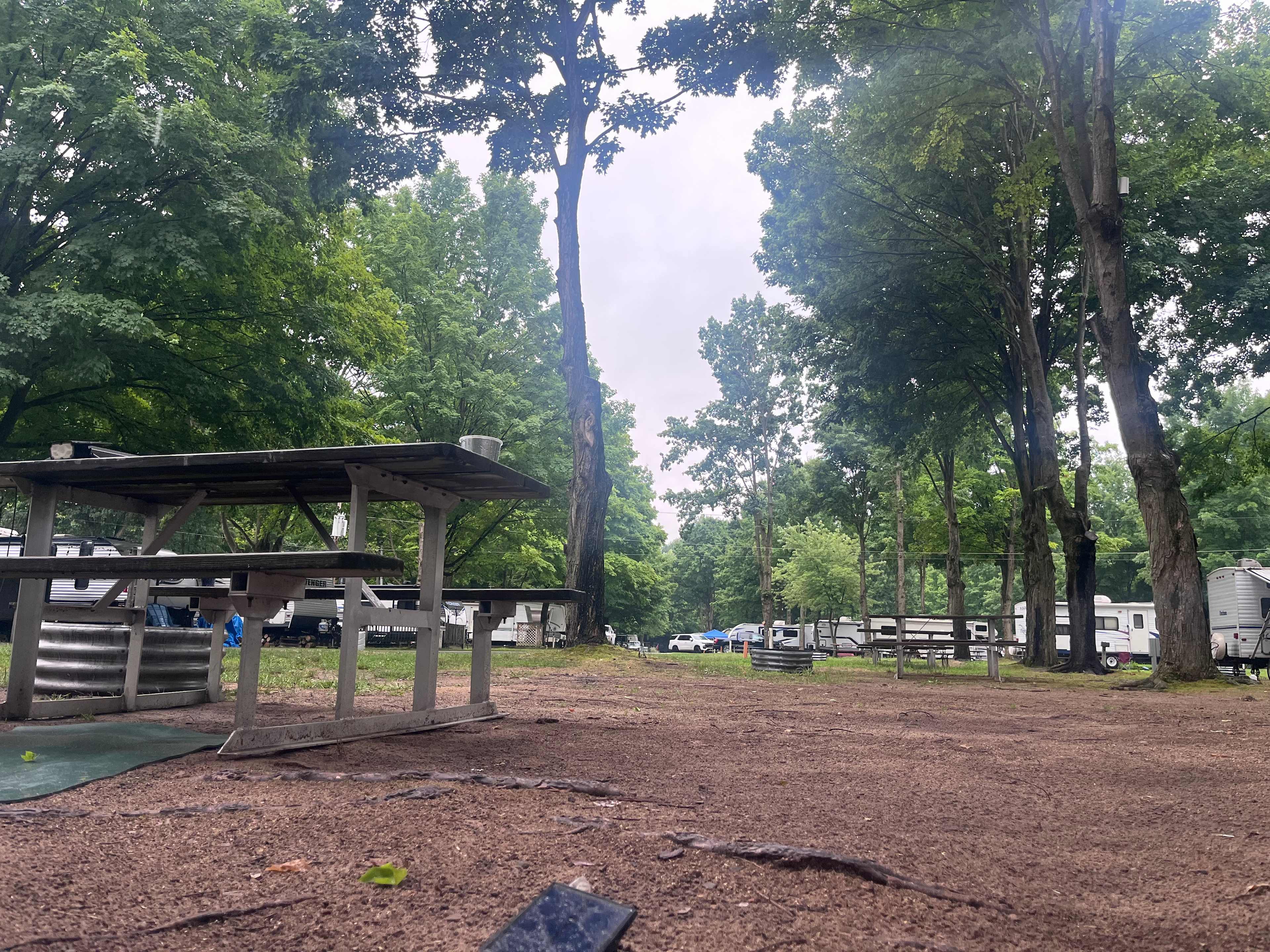 Forest Haven RV Park and Campground