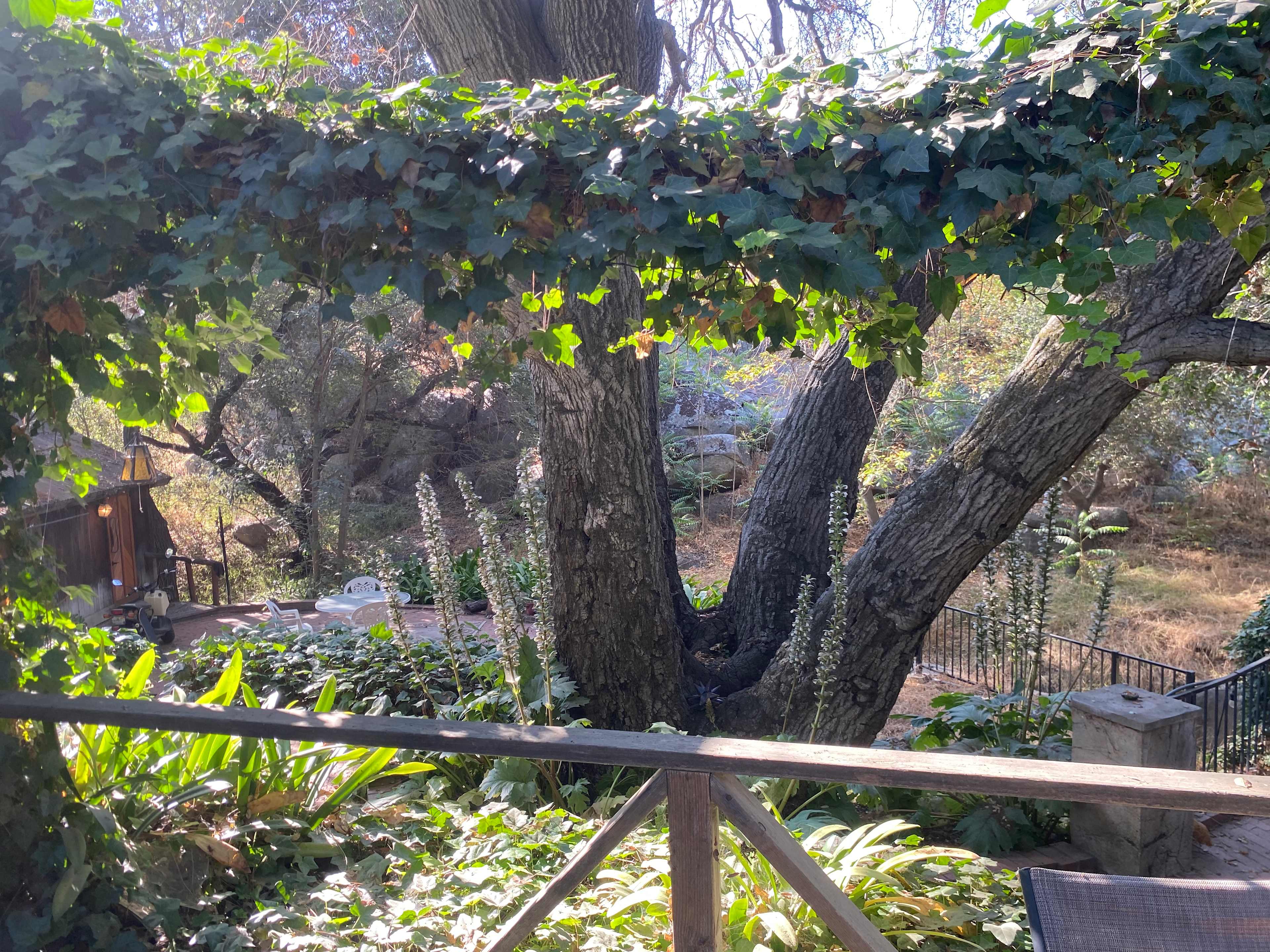 Wild Seeds Ranch