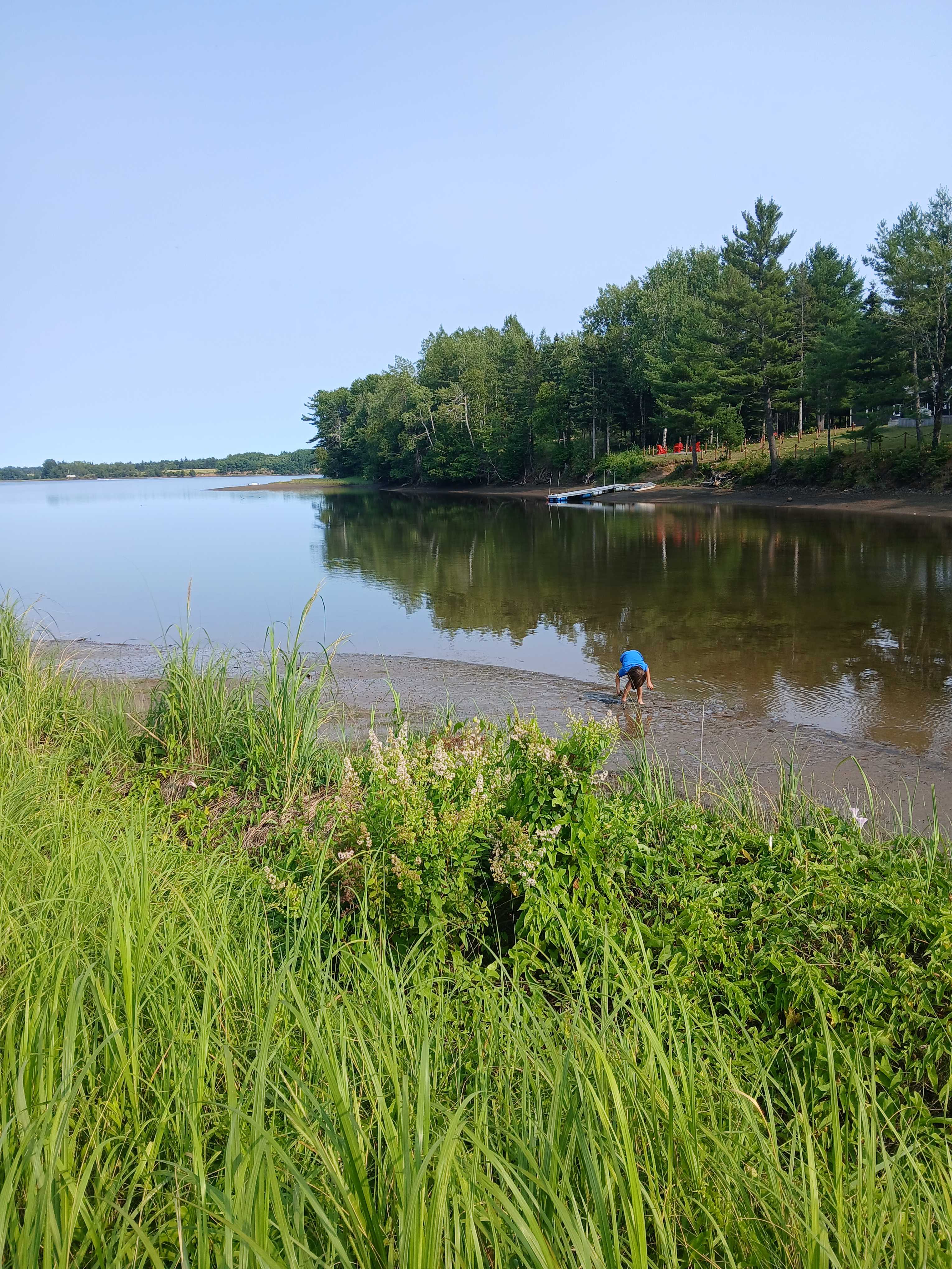 Waterfront Secluded Relaxing Field