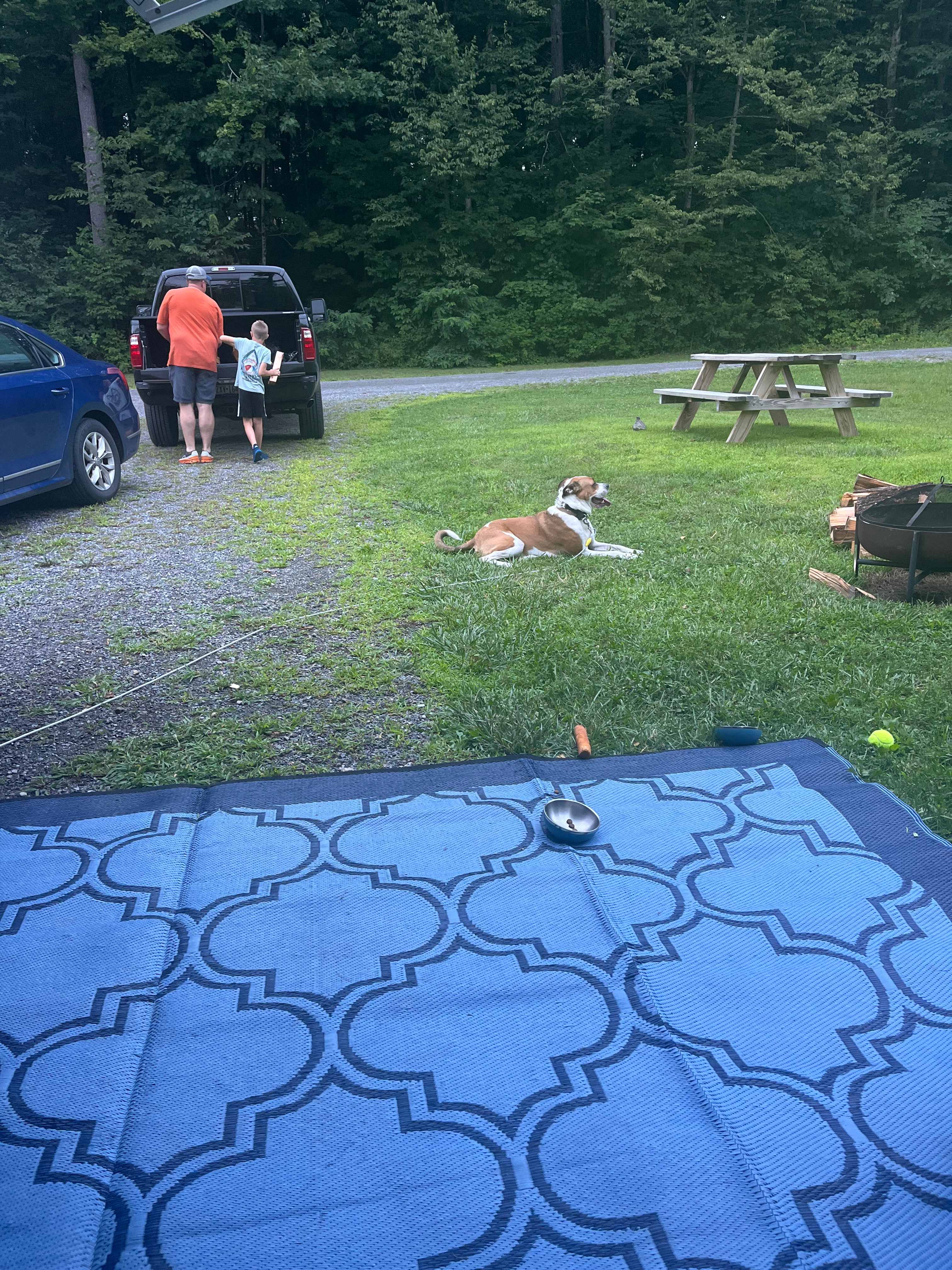 Dog friendly!