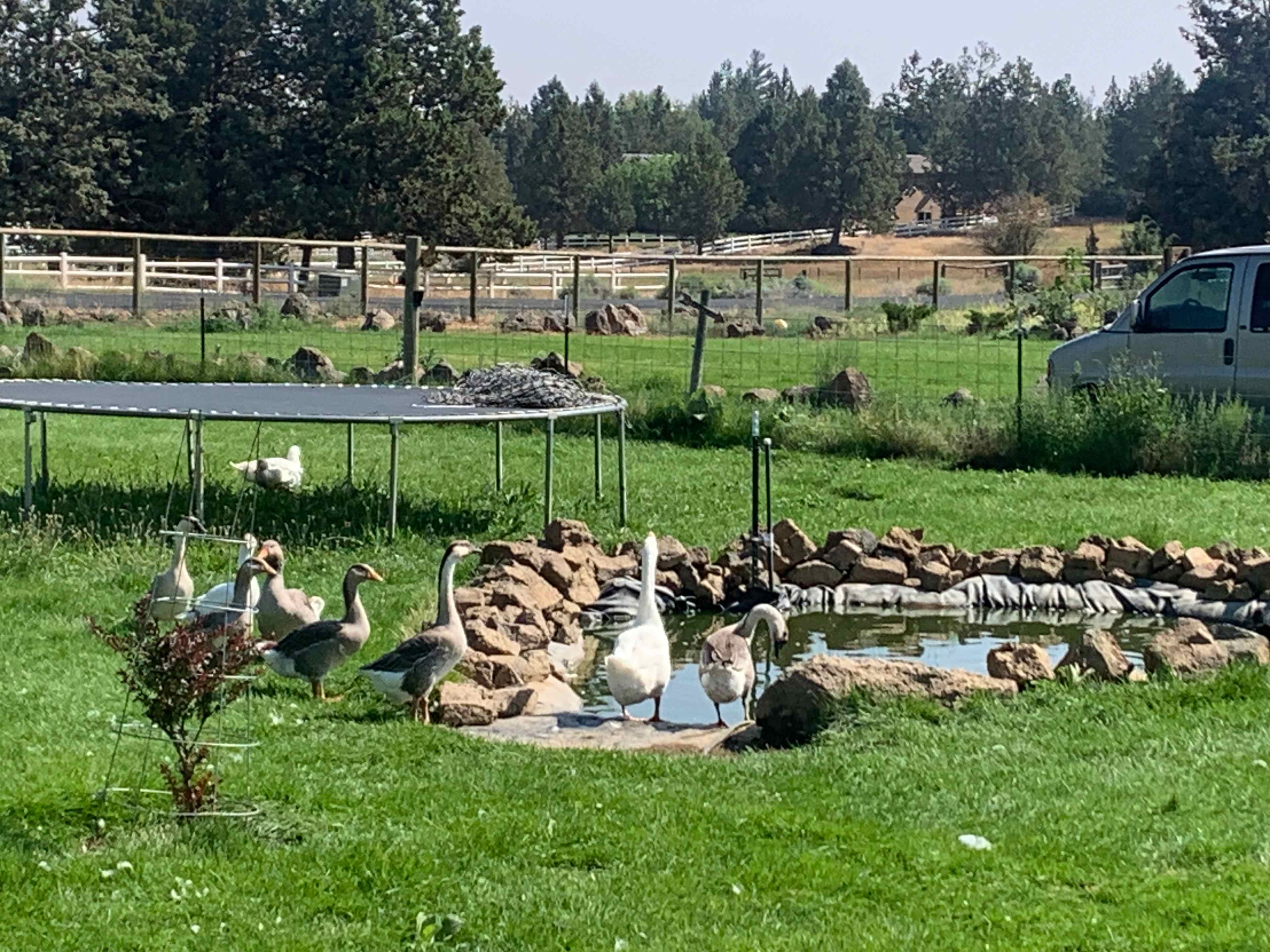 “Bird” watching with morning tea.
