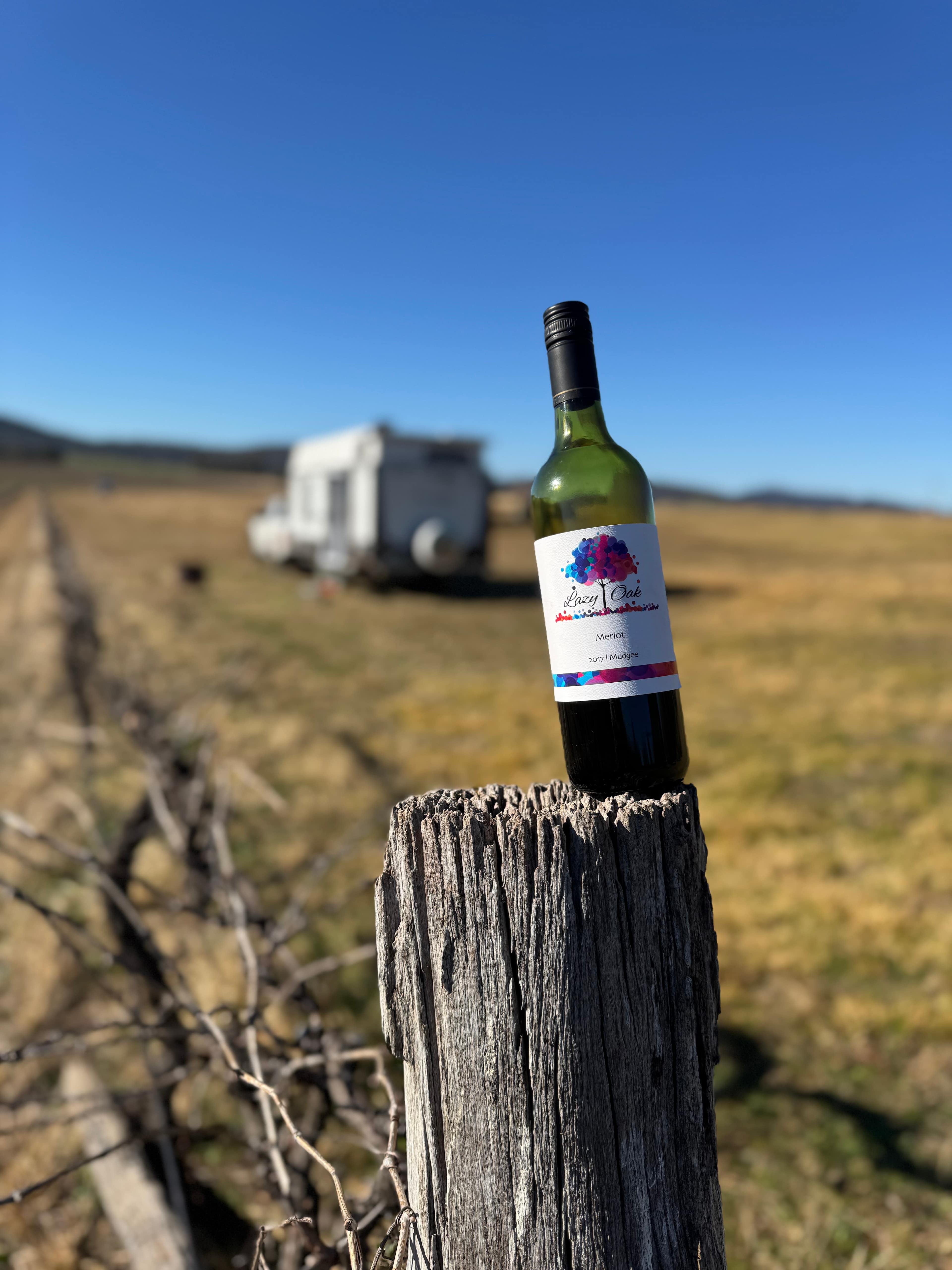 Vans in the Vines Mudgee