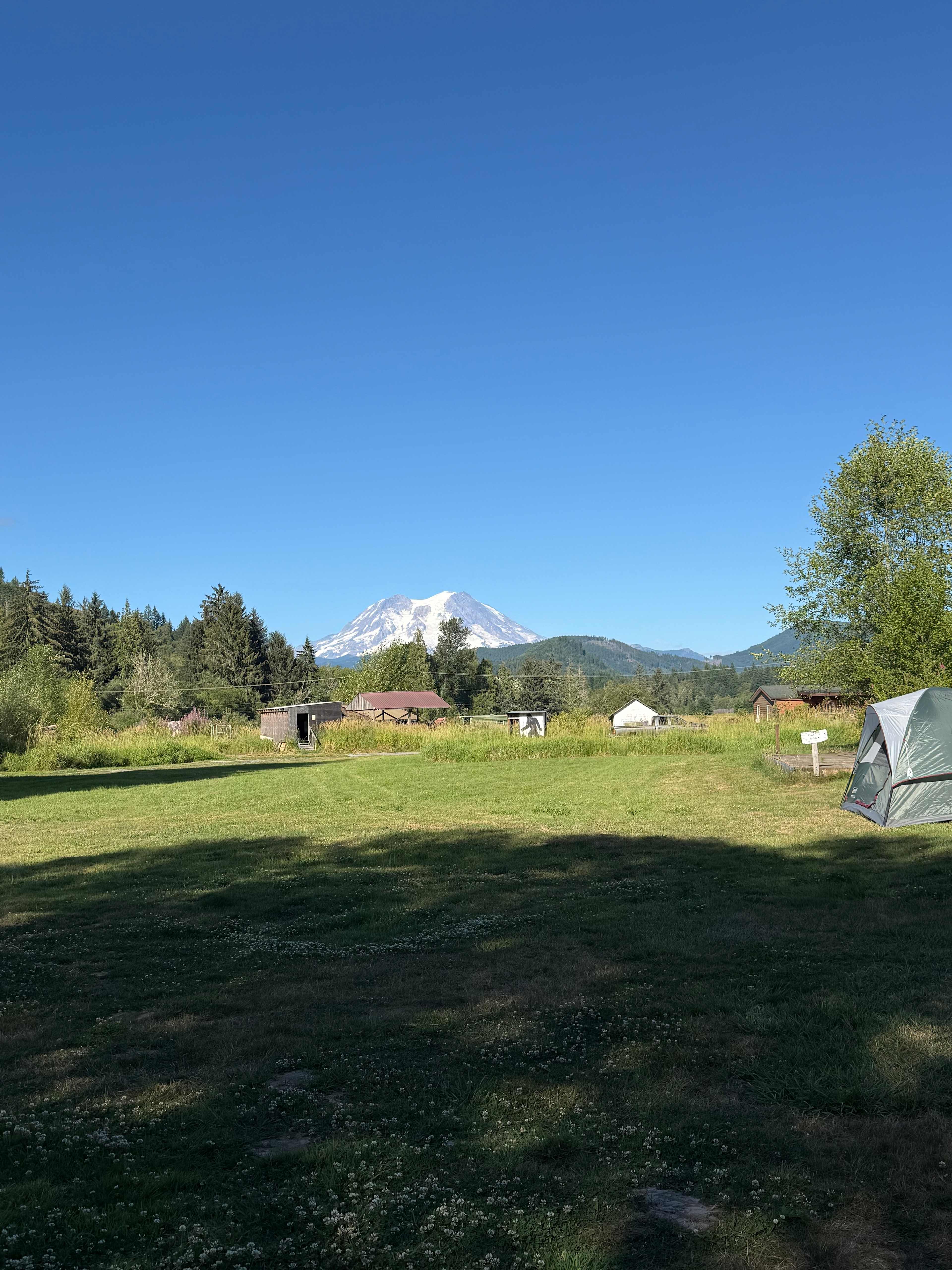 Misty Meadows Adventures Mt.Rainier