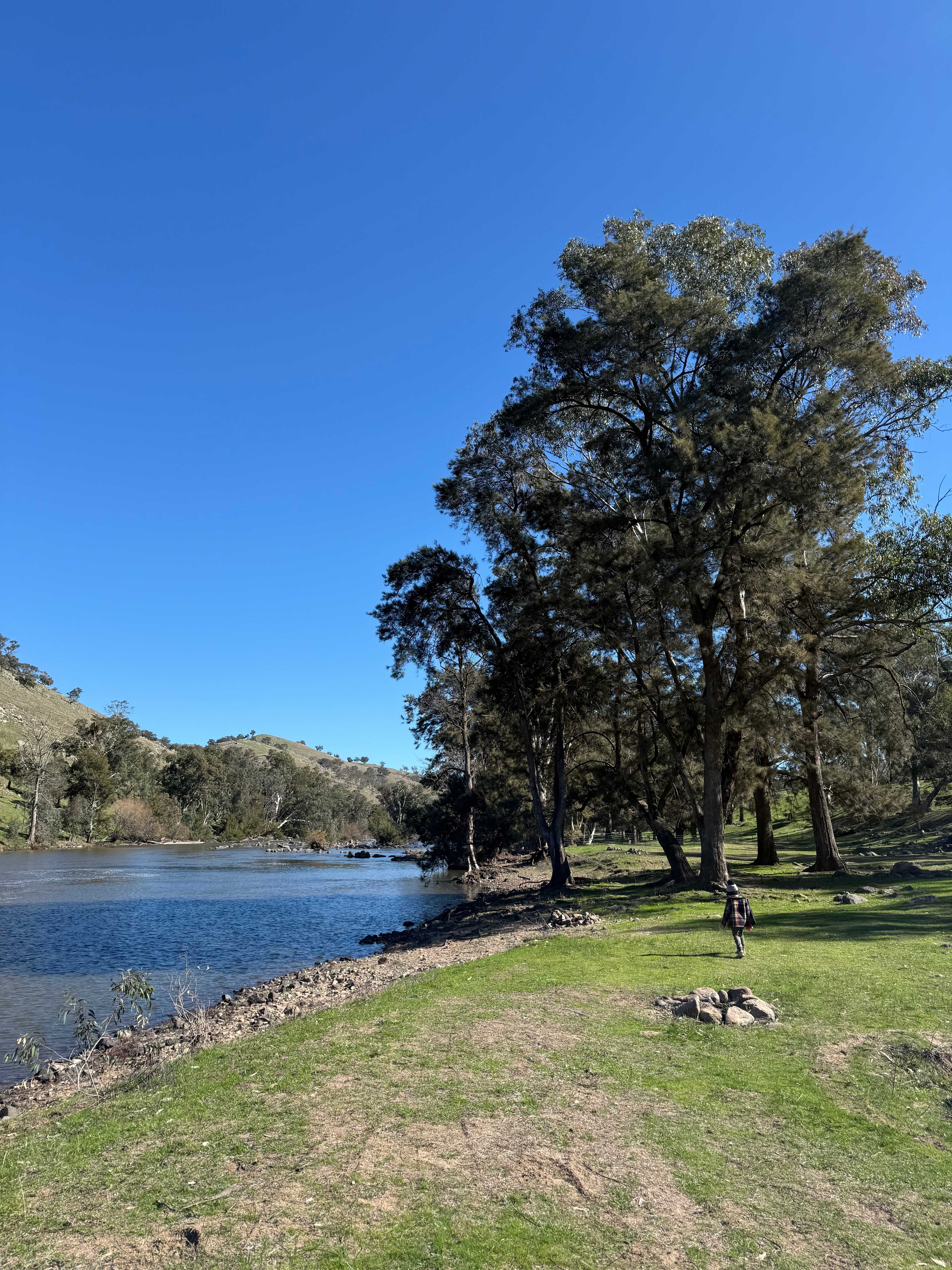 Jarabin on the Murrumbidgee