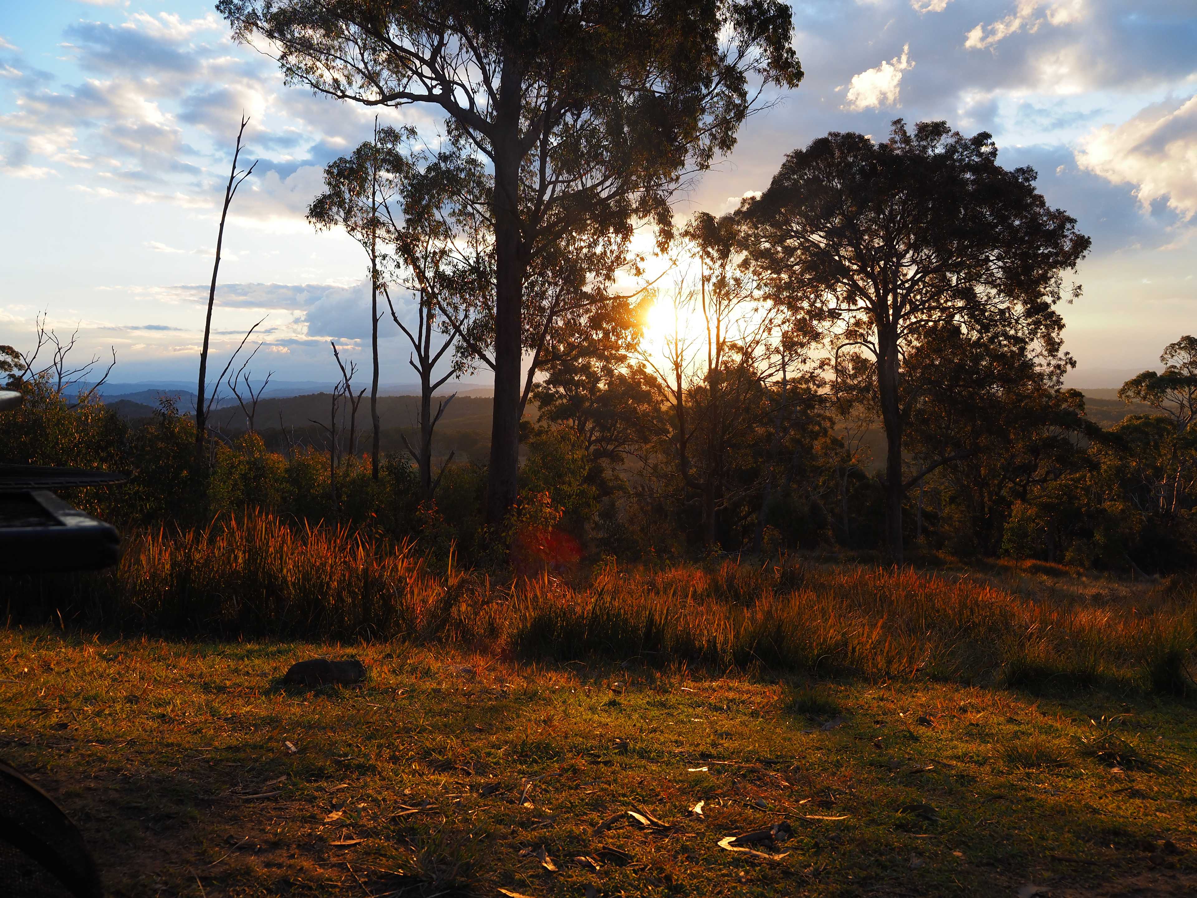 BAJIMBA Eco Camping and Farm Stay