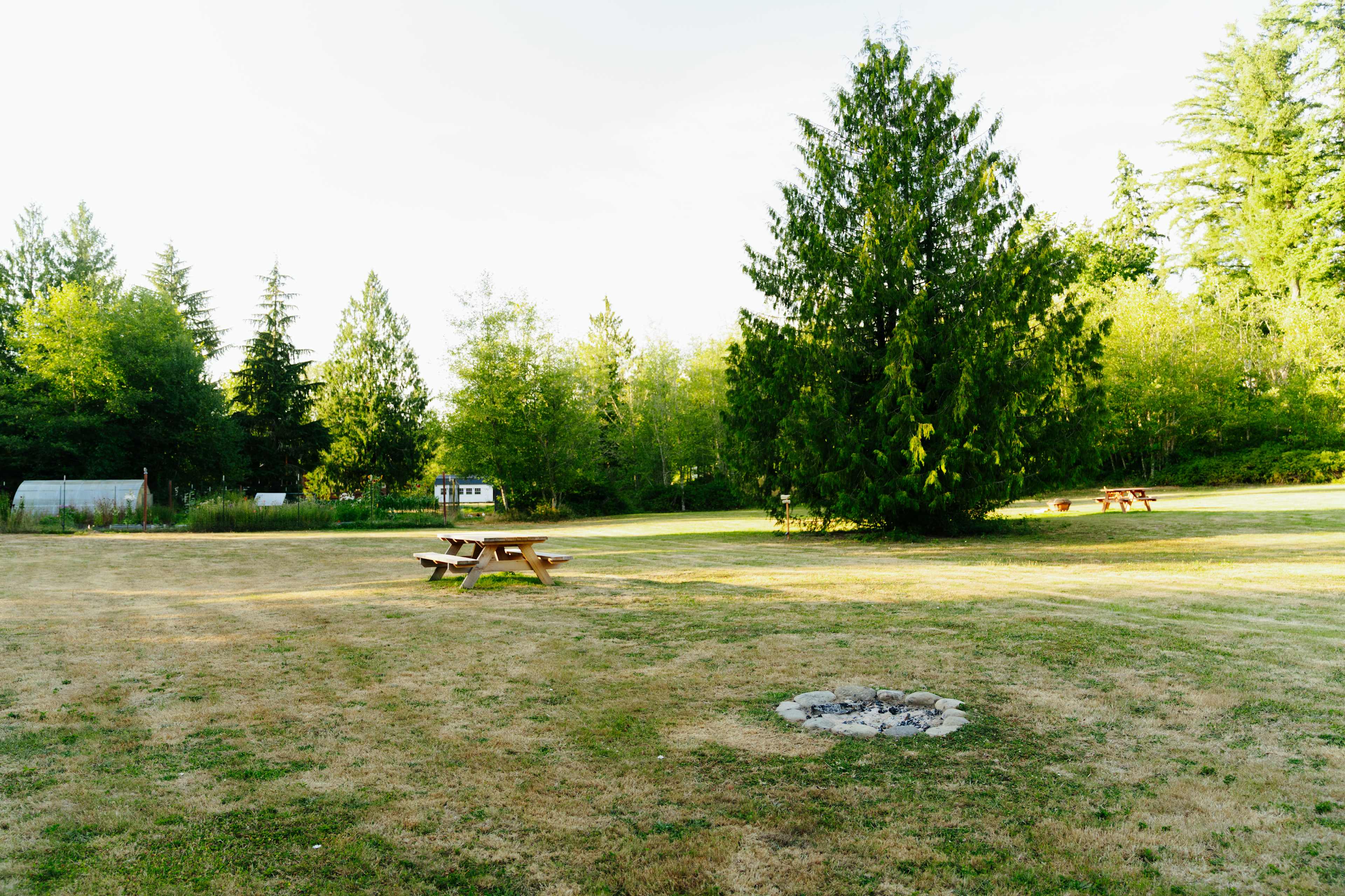 Camp Wildlife
