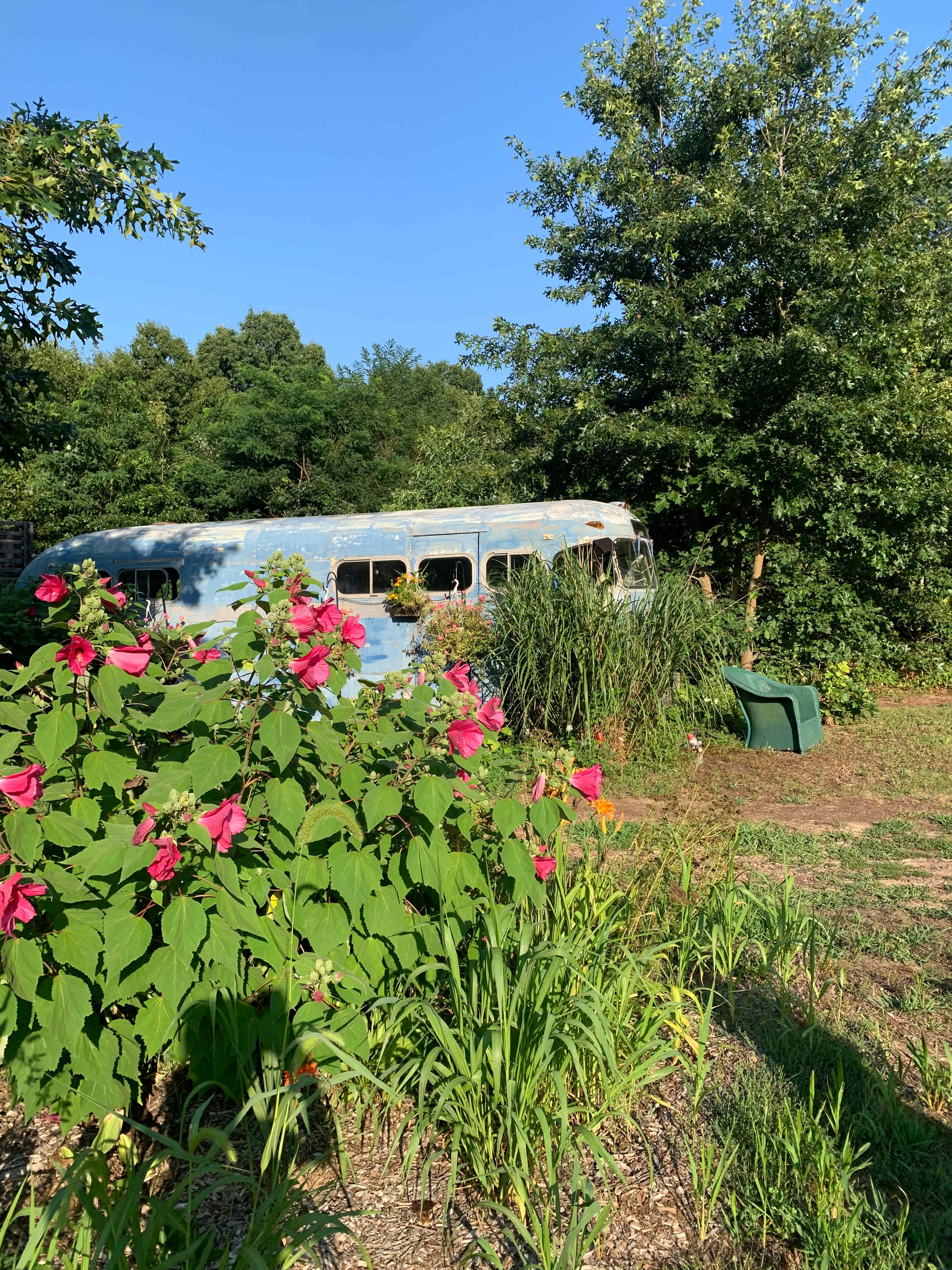Bus by in the flower garden 