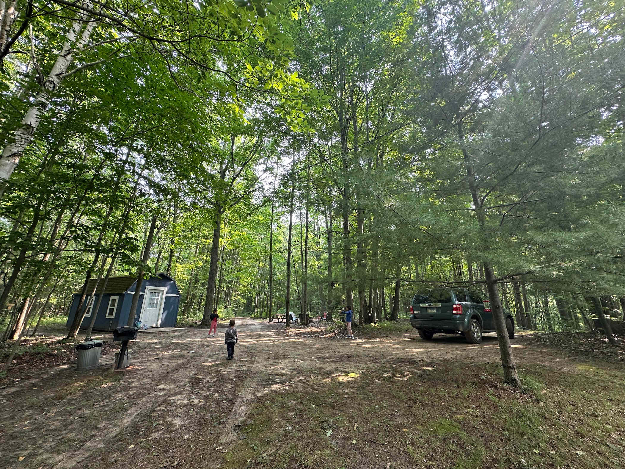 The 40 Acre Wood