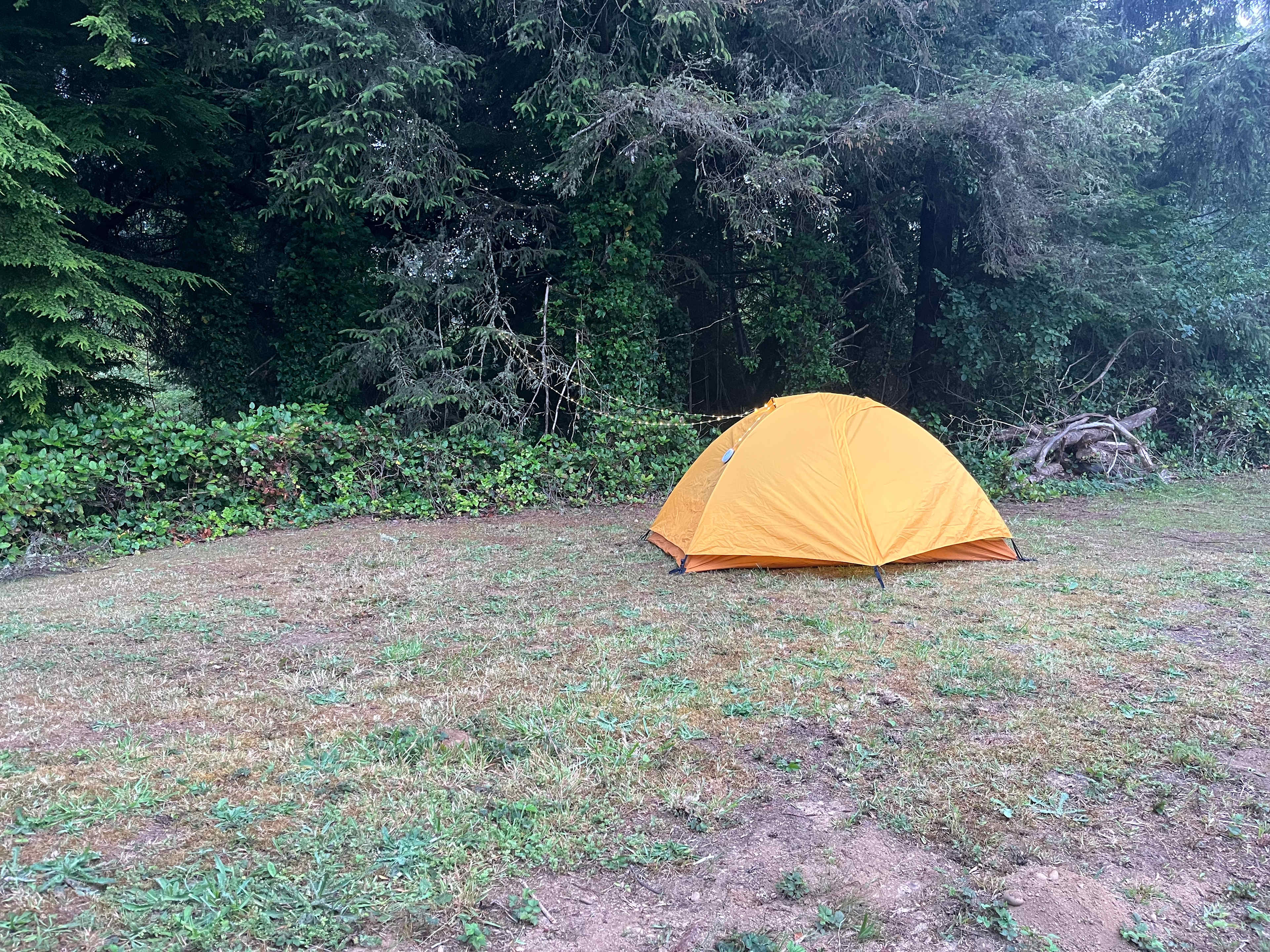 Peaceful Camp By The Beach