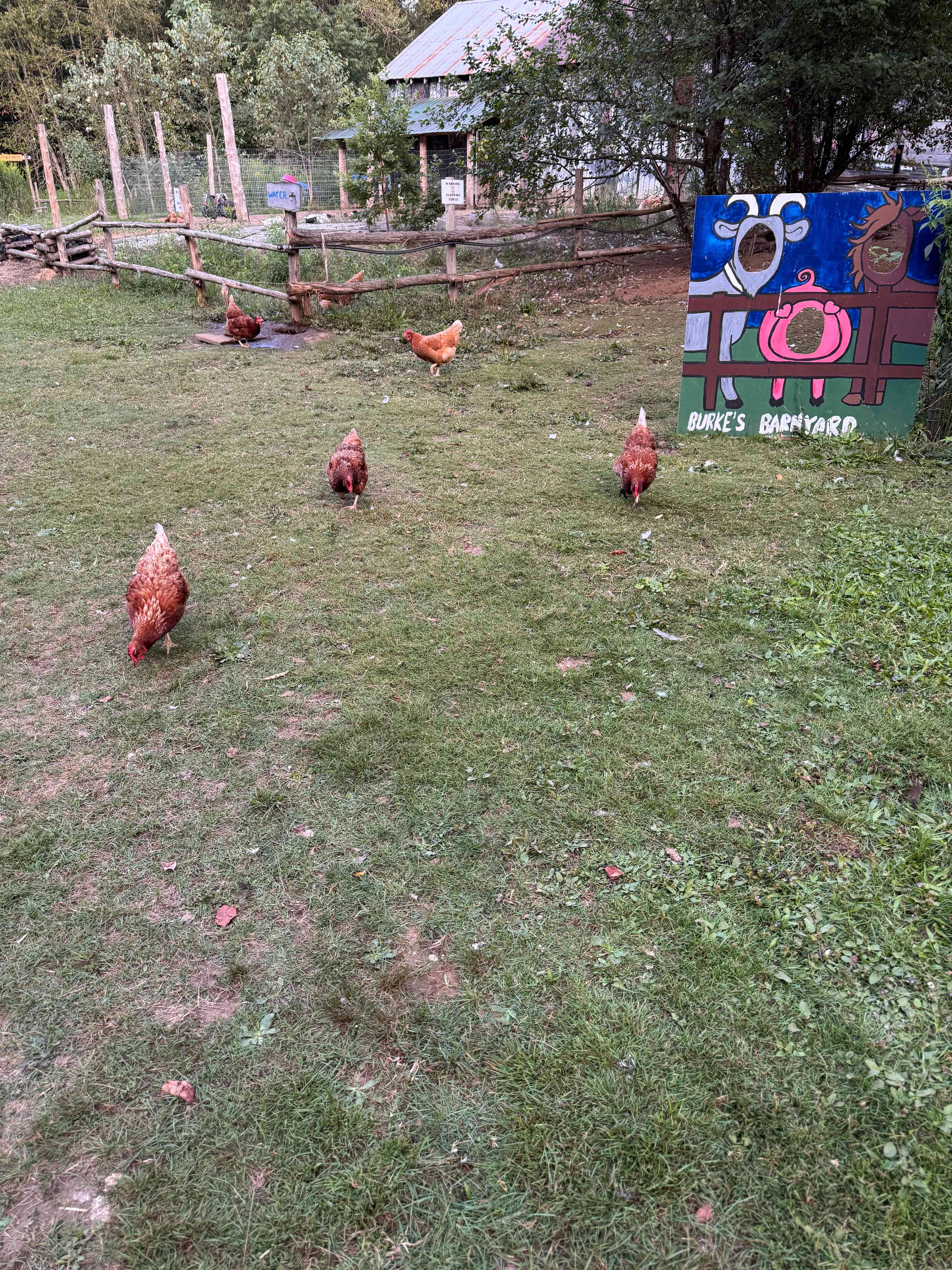 Burke’s Barnyard - Farm Camping