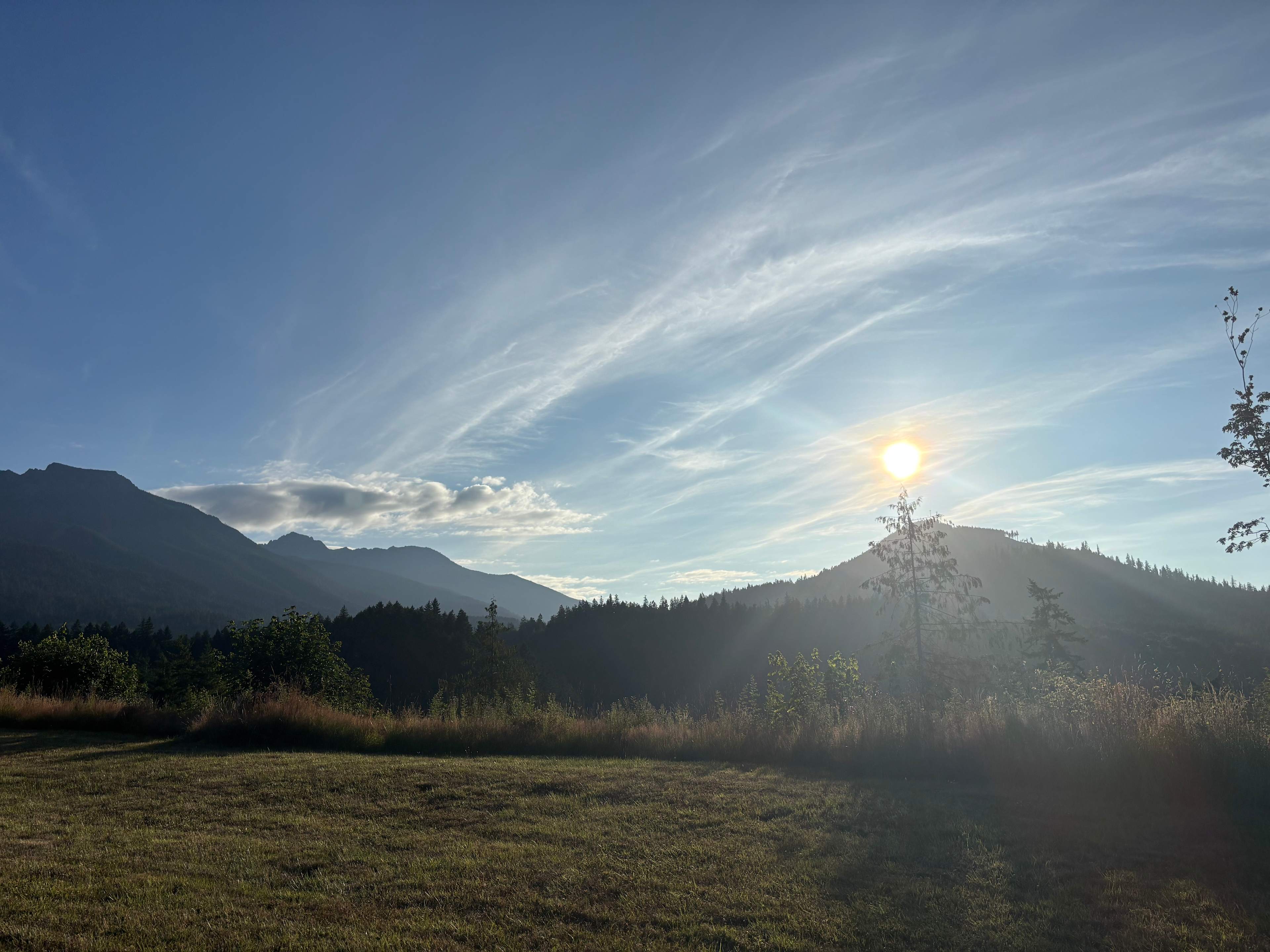 Frog Creek Meadow