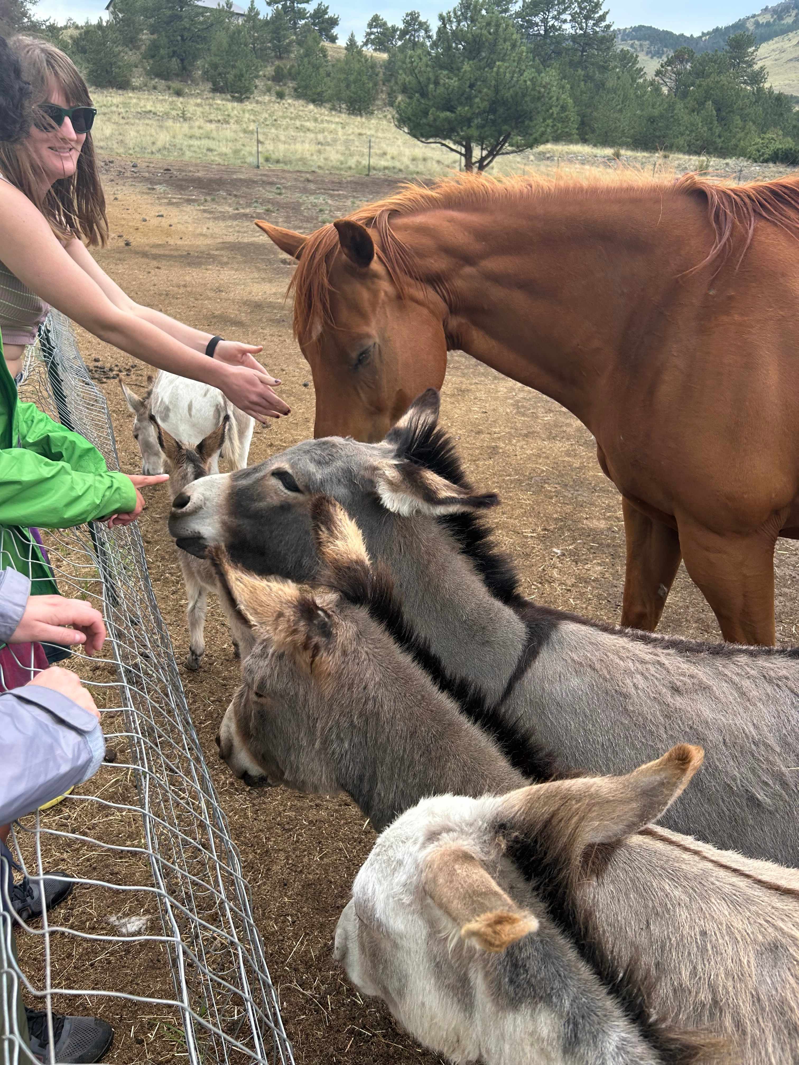 K-Bar Ranch