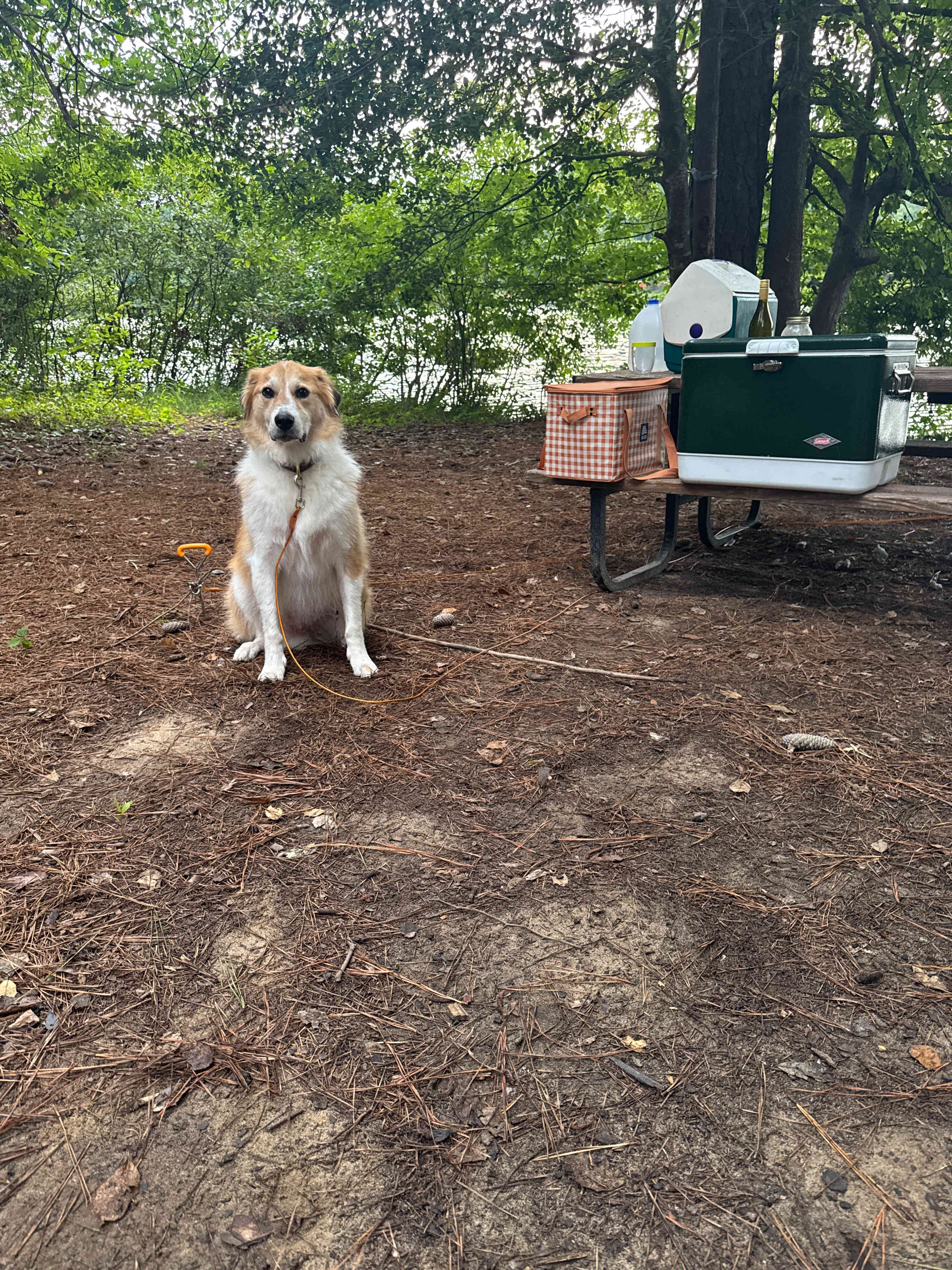 Brooks Lake, A Peace of Heaven
