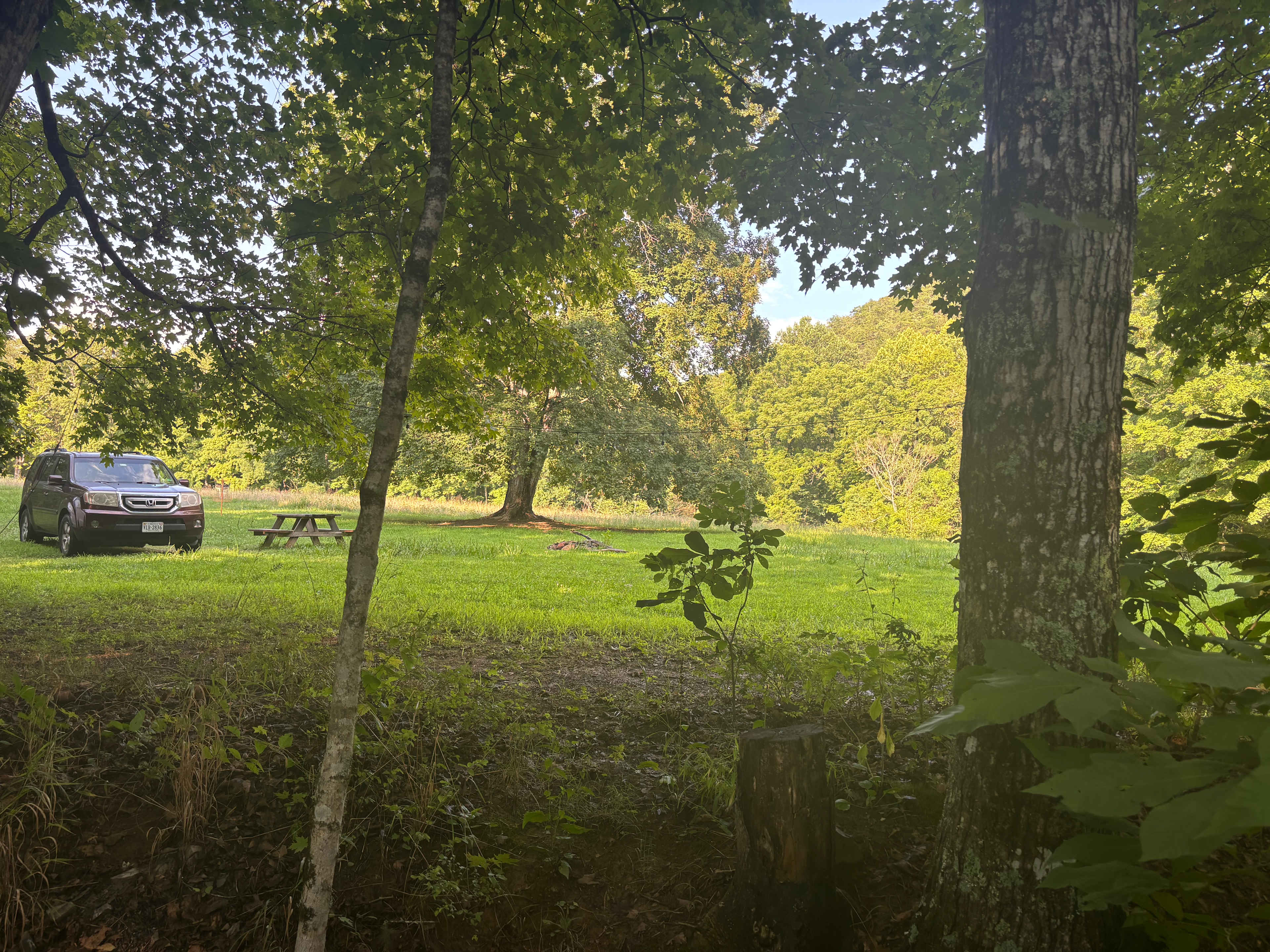 Savage Acres on Craig Creek