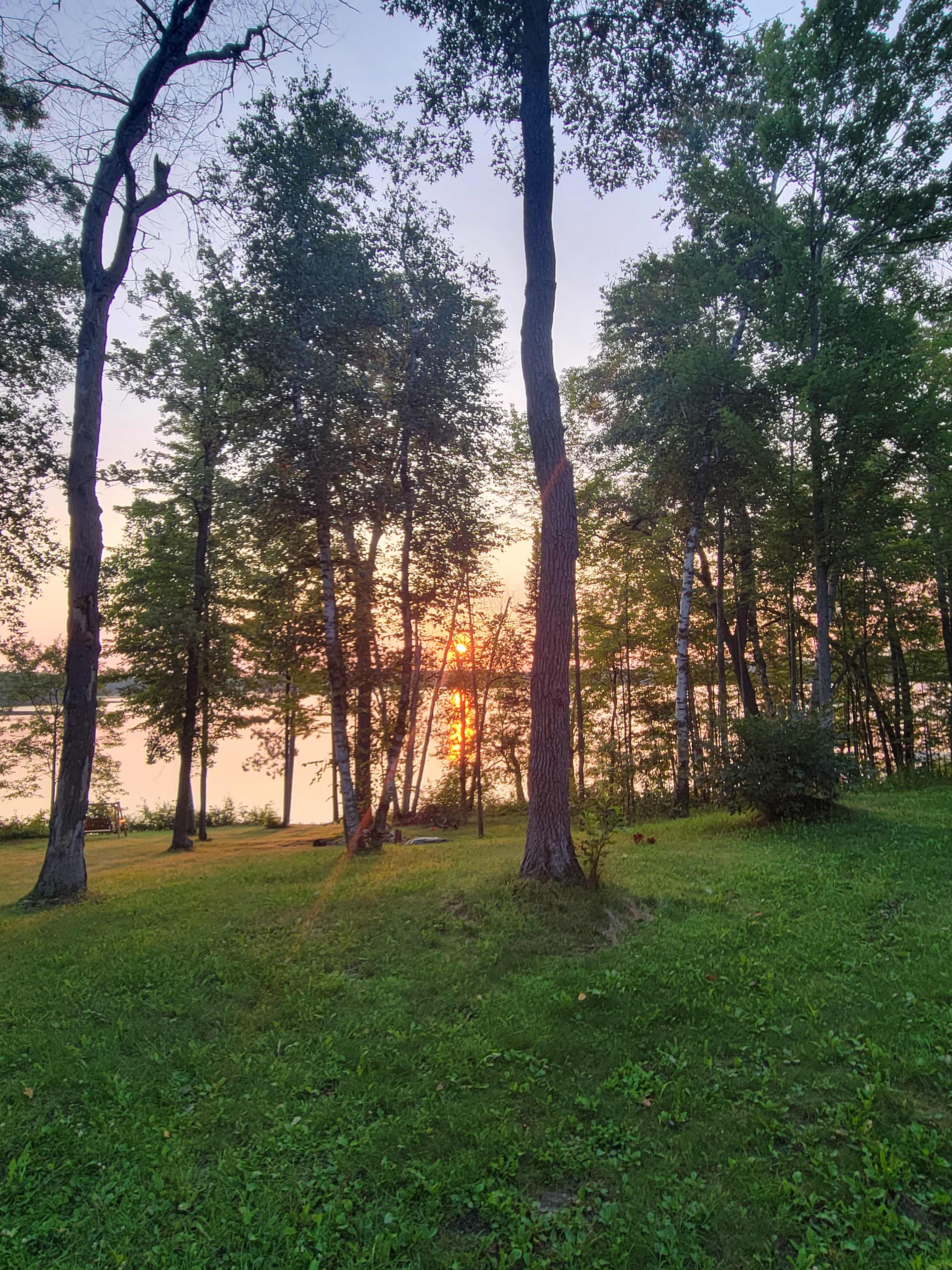Wise Woods on Fool Lake