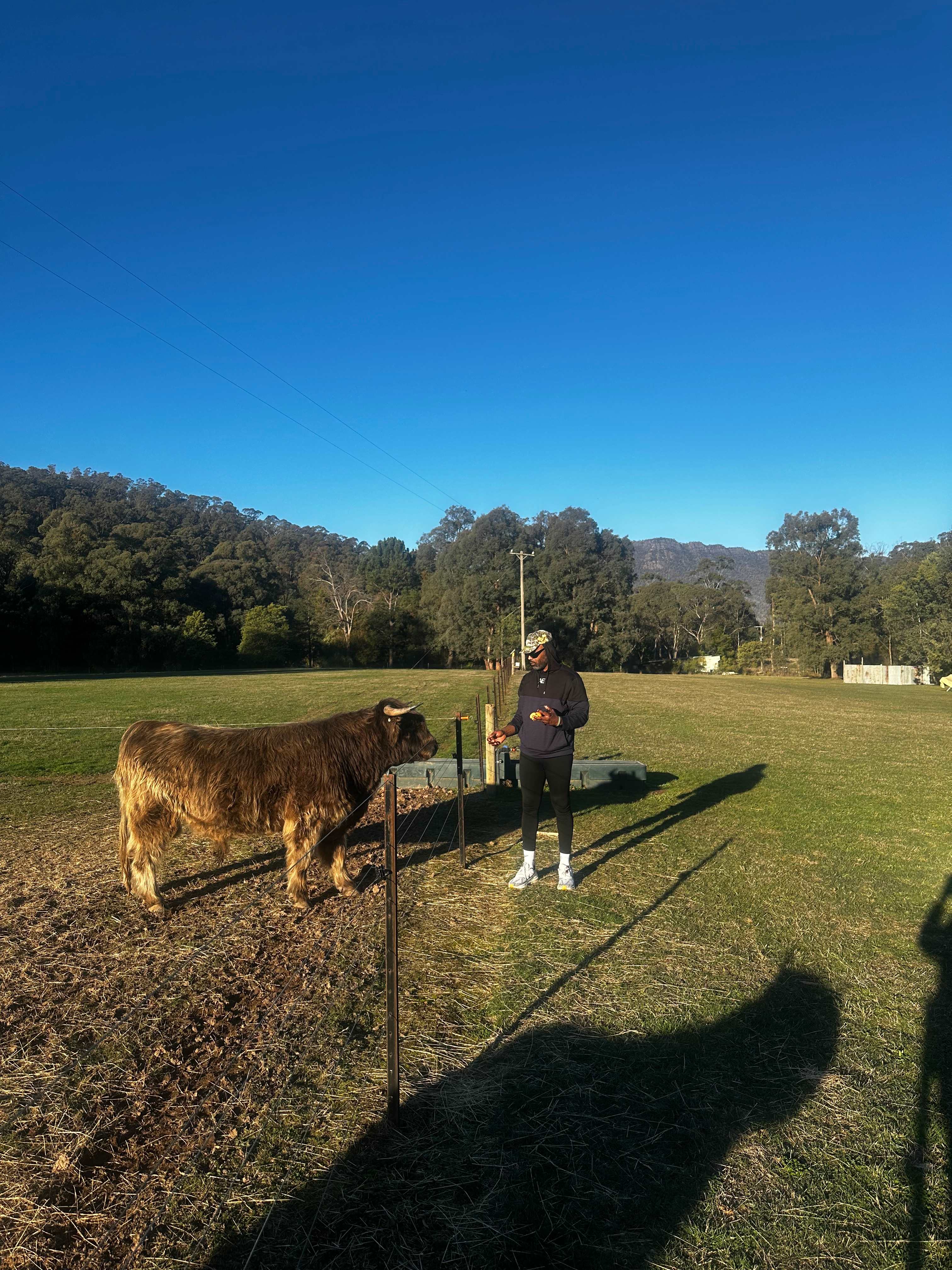 Galea Ranch