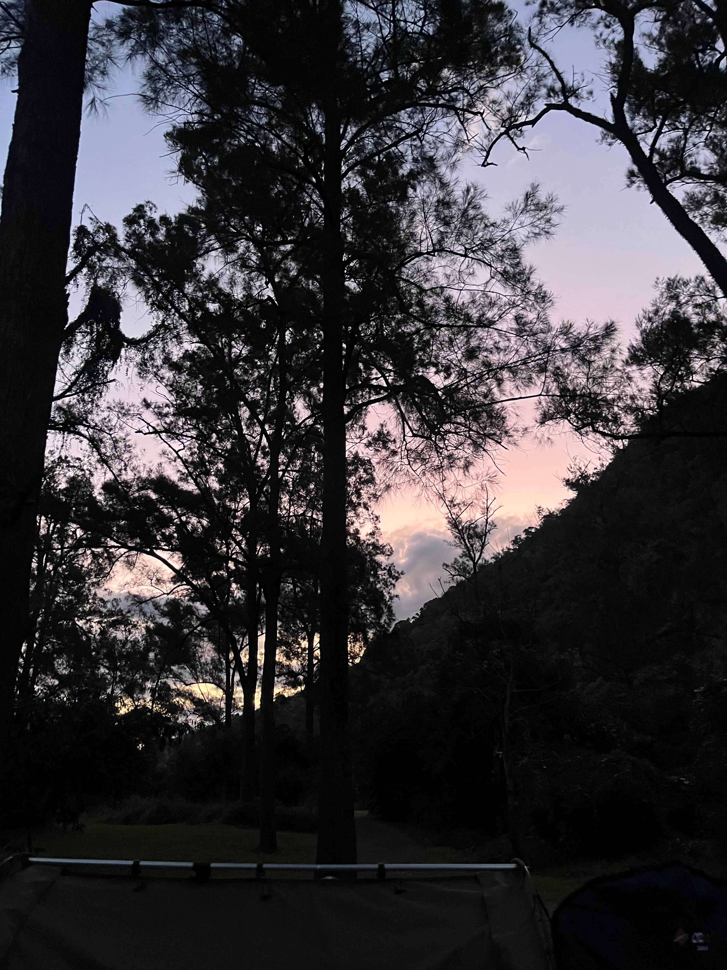 Yabba Creek Farm