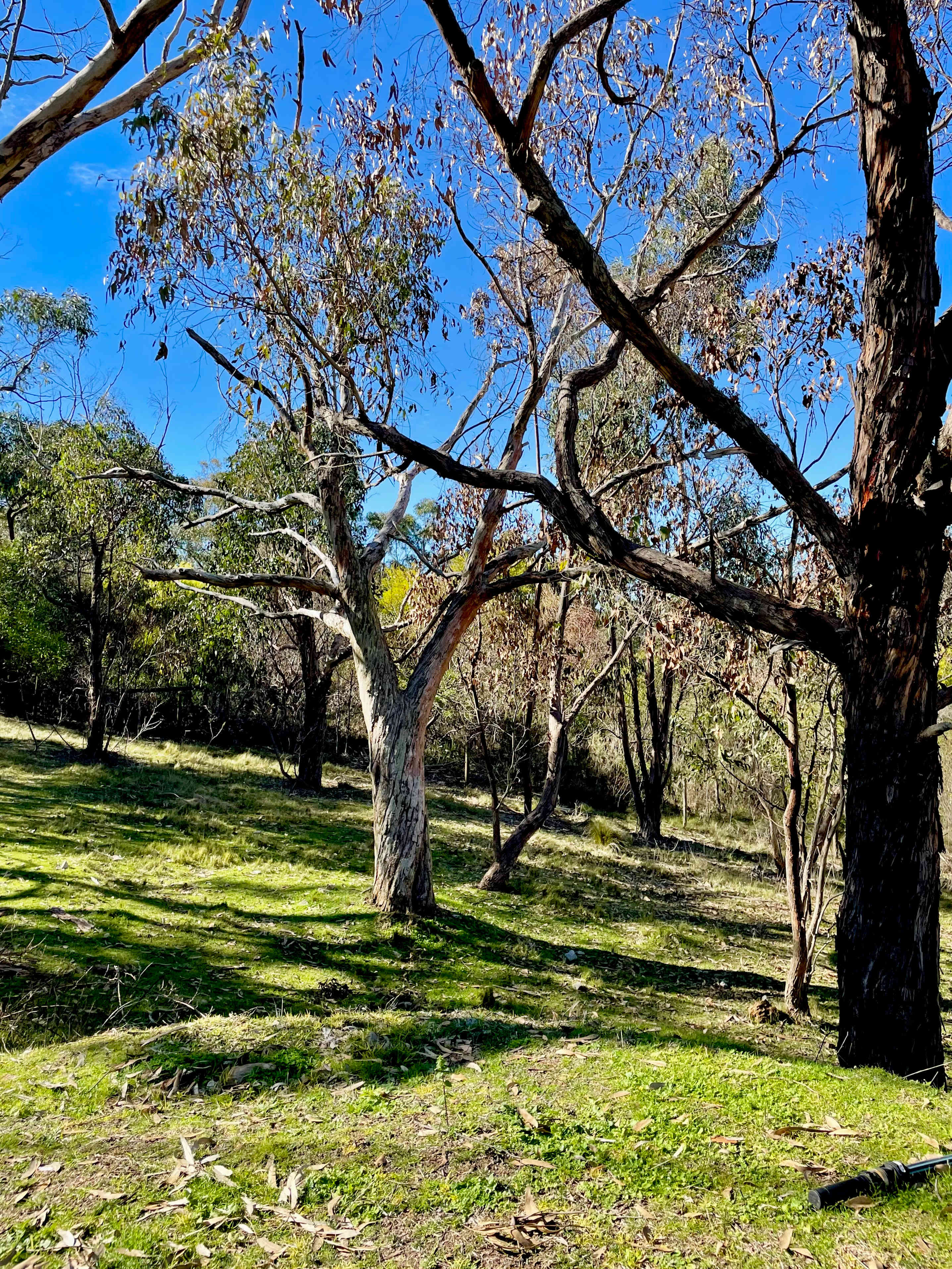 Bradbury Nature Retreat