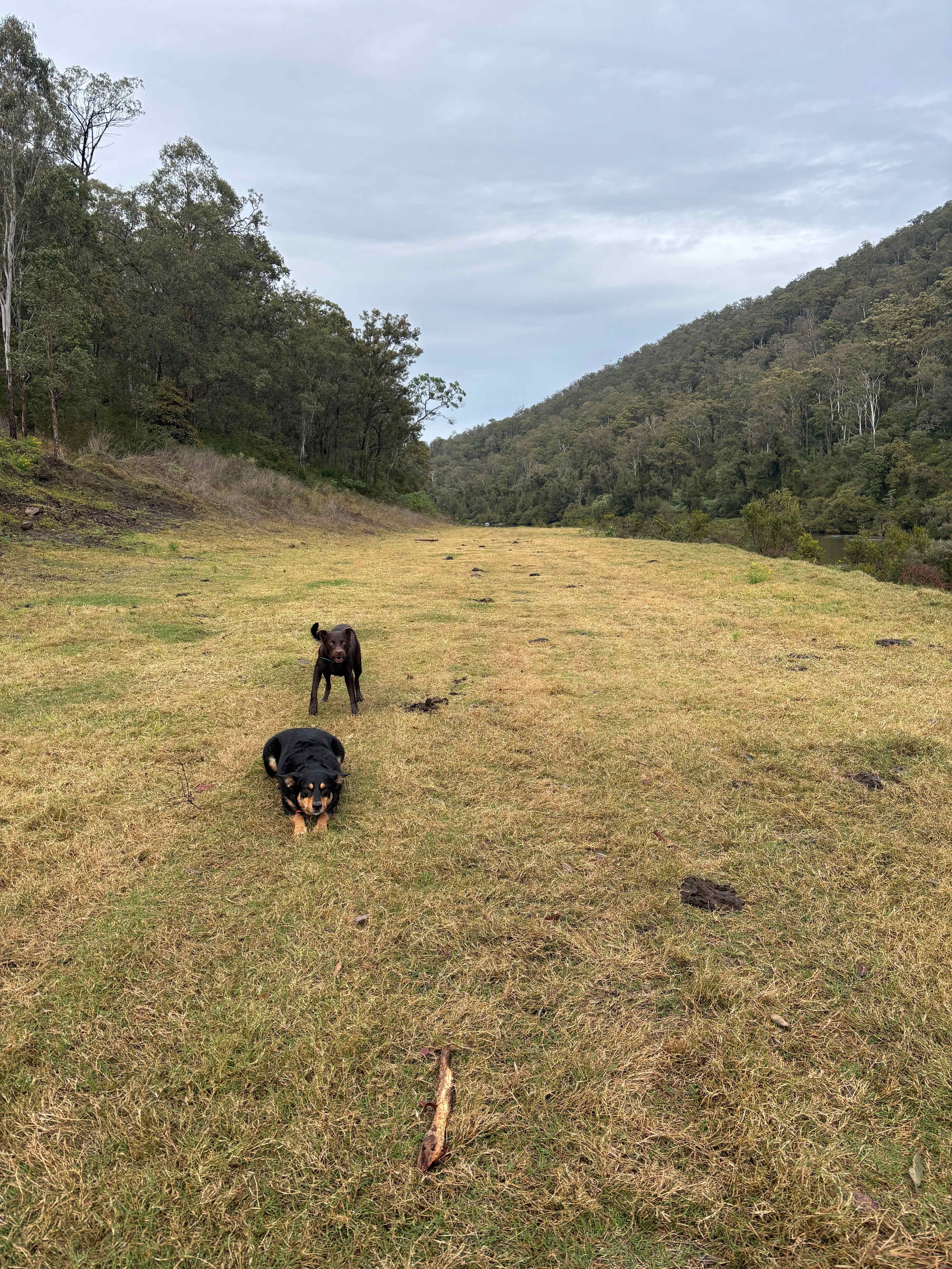 Eagle Ridge Bush Retreat