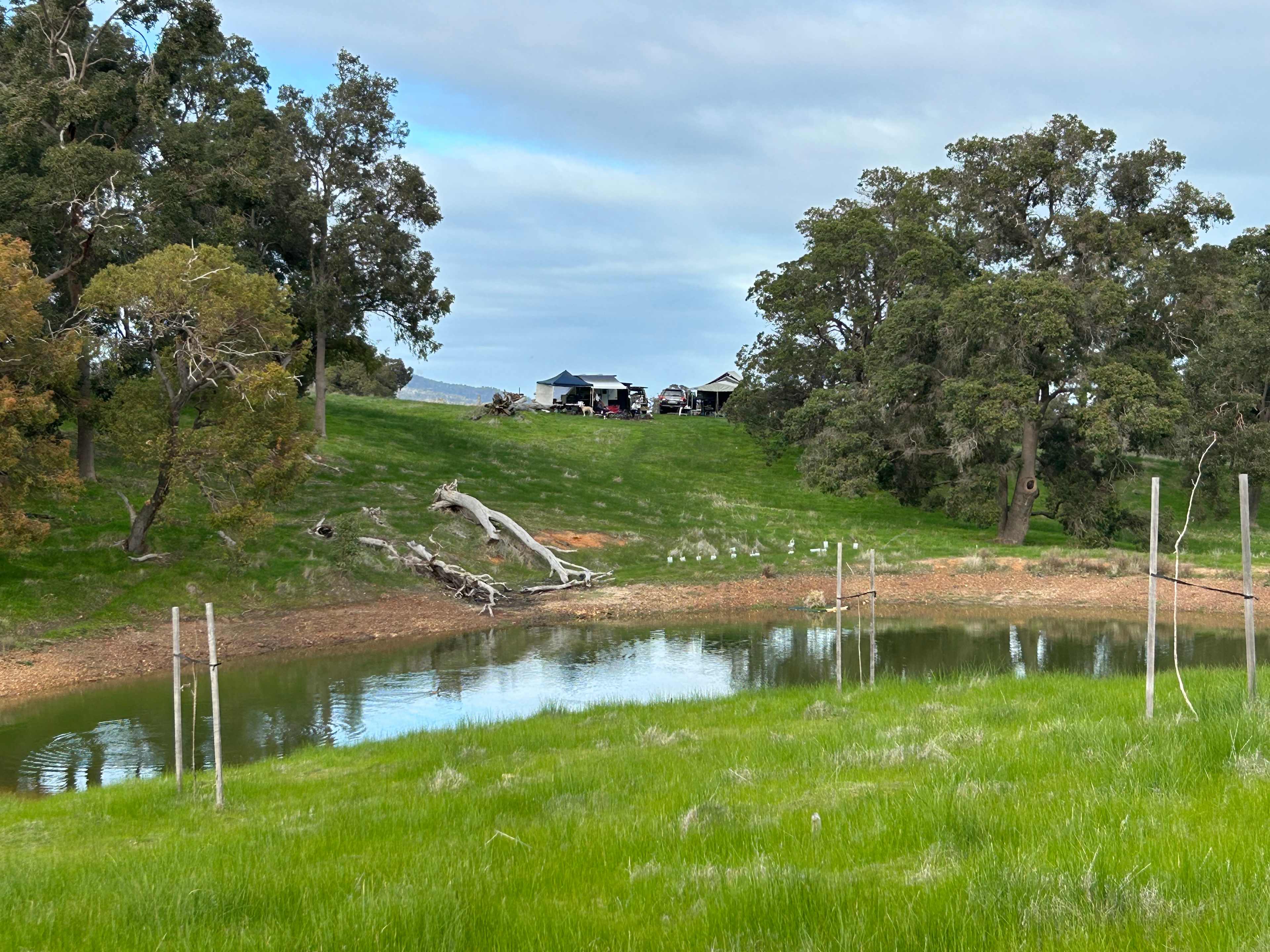 Jacaranda Hill Farm