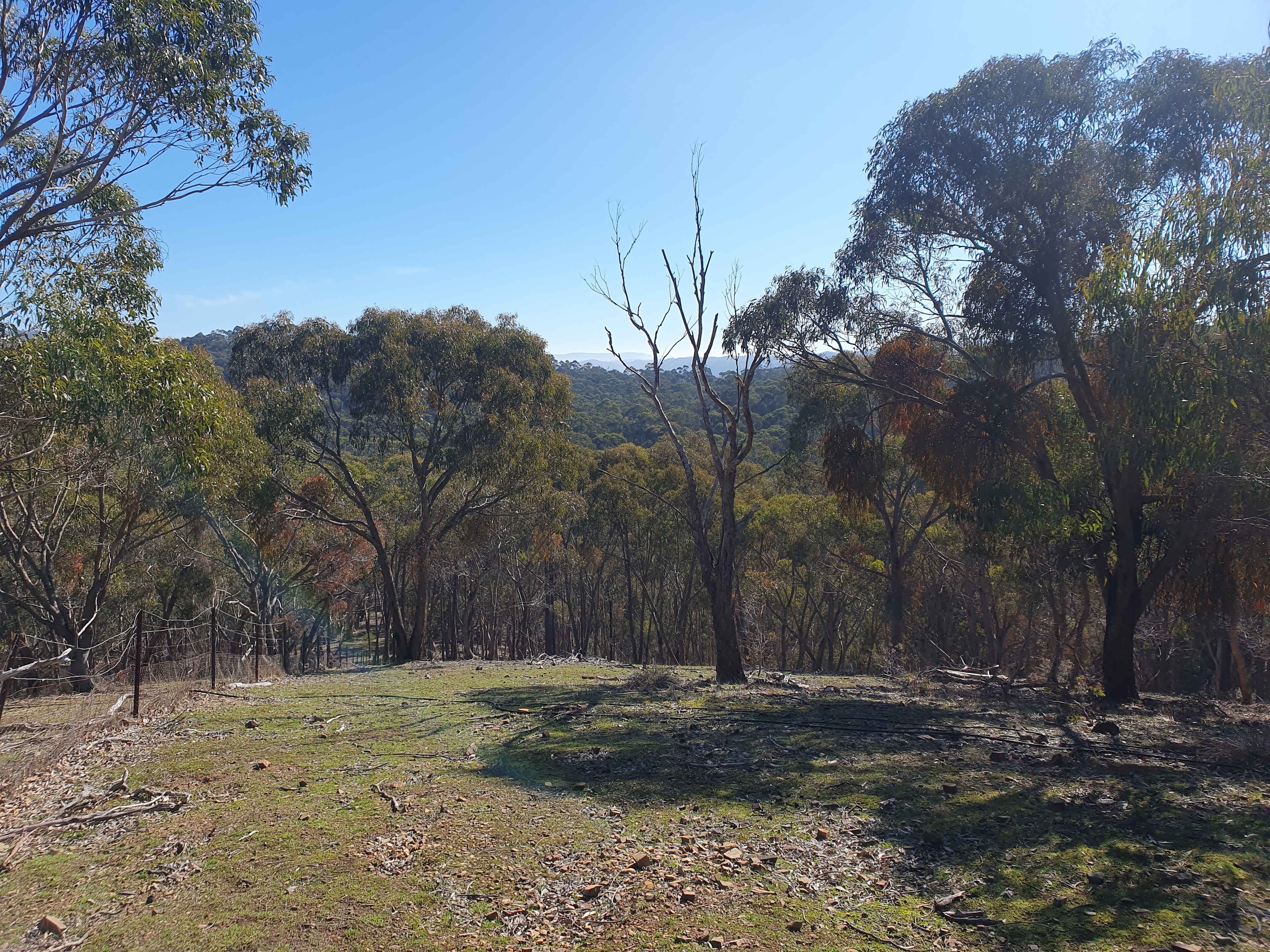 Bushy Ridge Hideaway