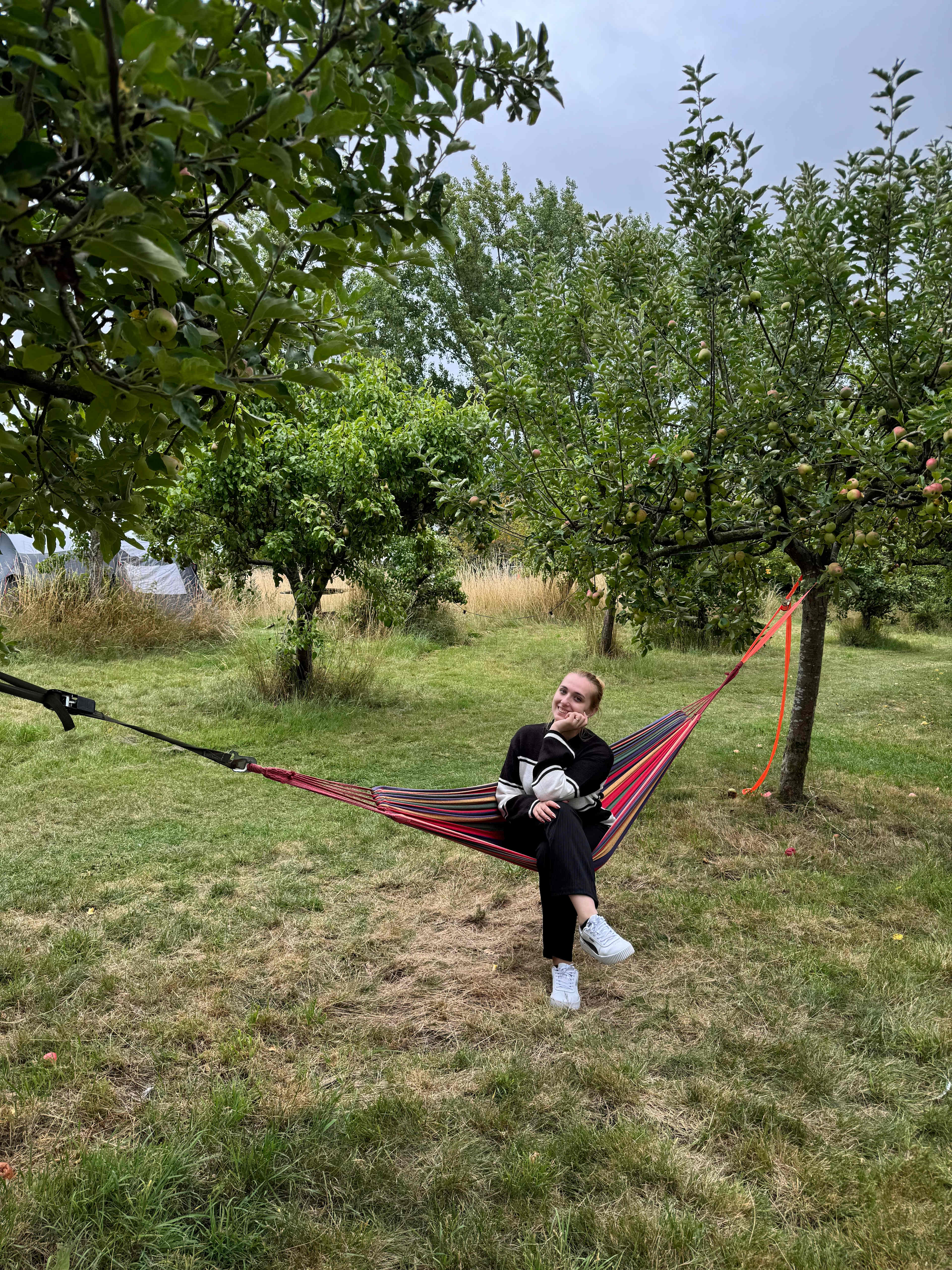 Cotswolds Camping at Holycombe