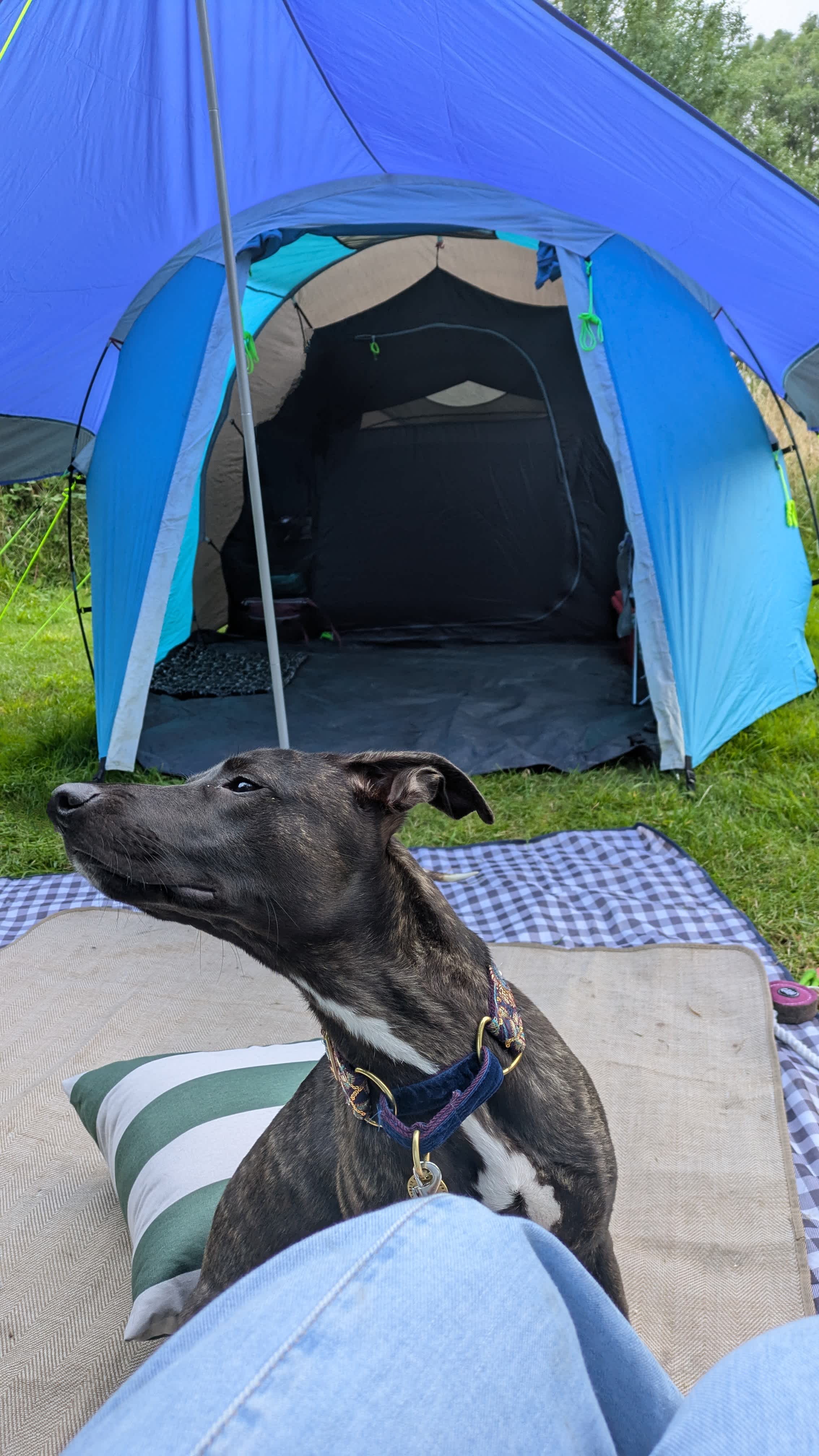 Ffynnonwen Off-Grid Camping
