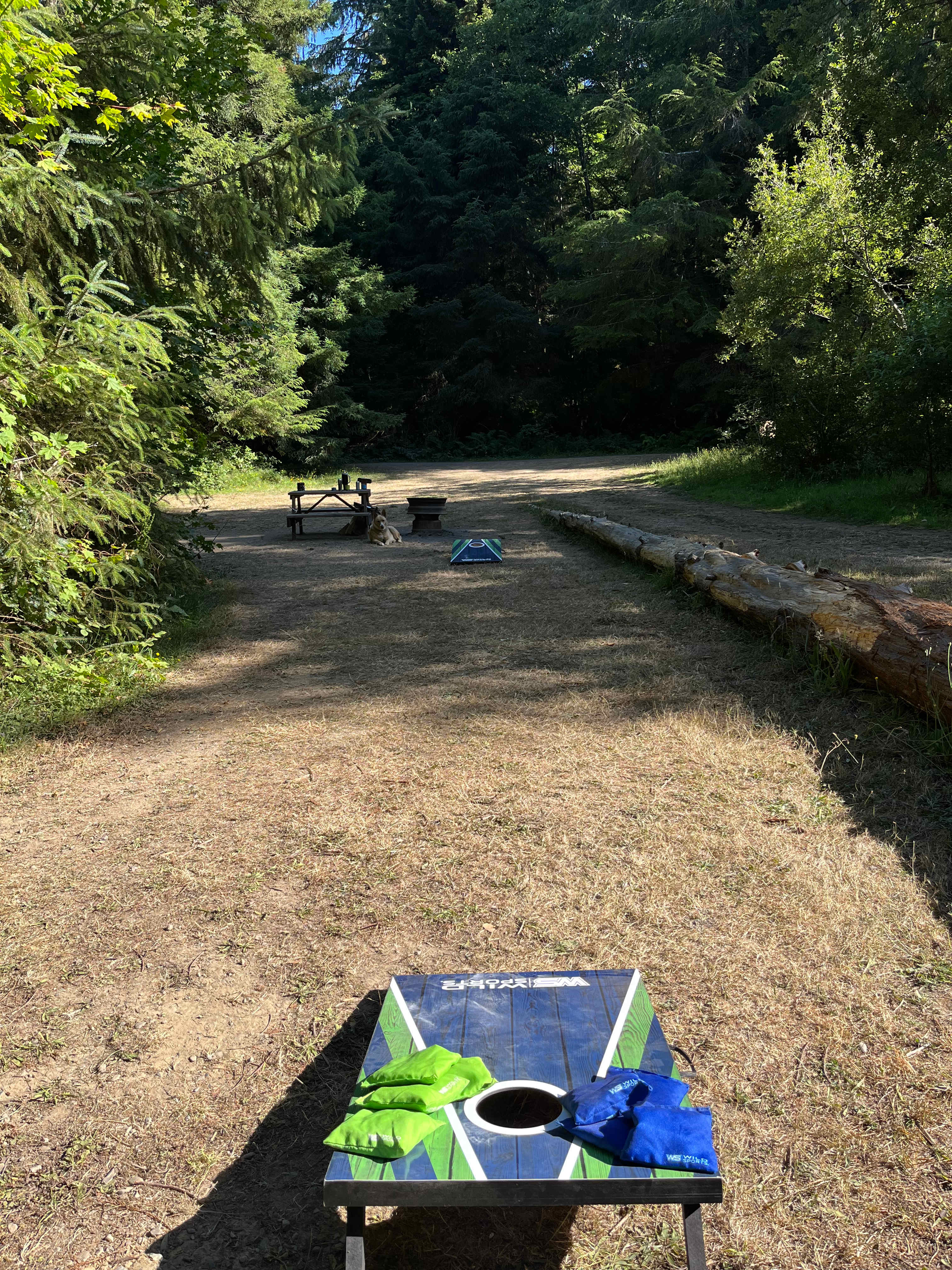 Mystic Forest Campground