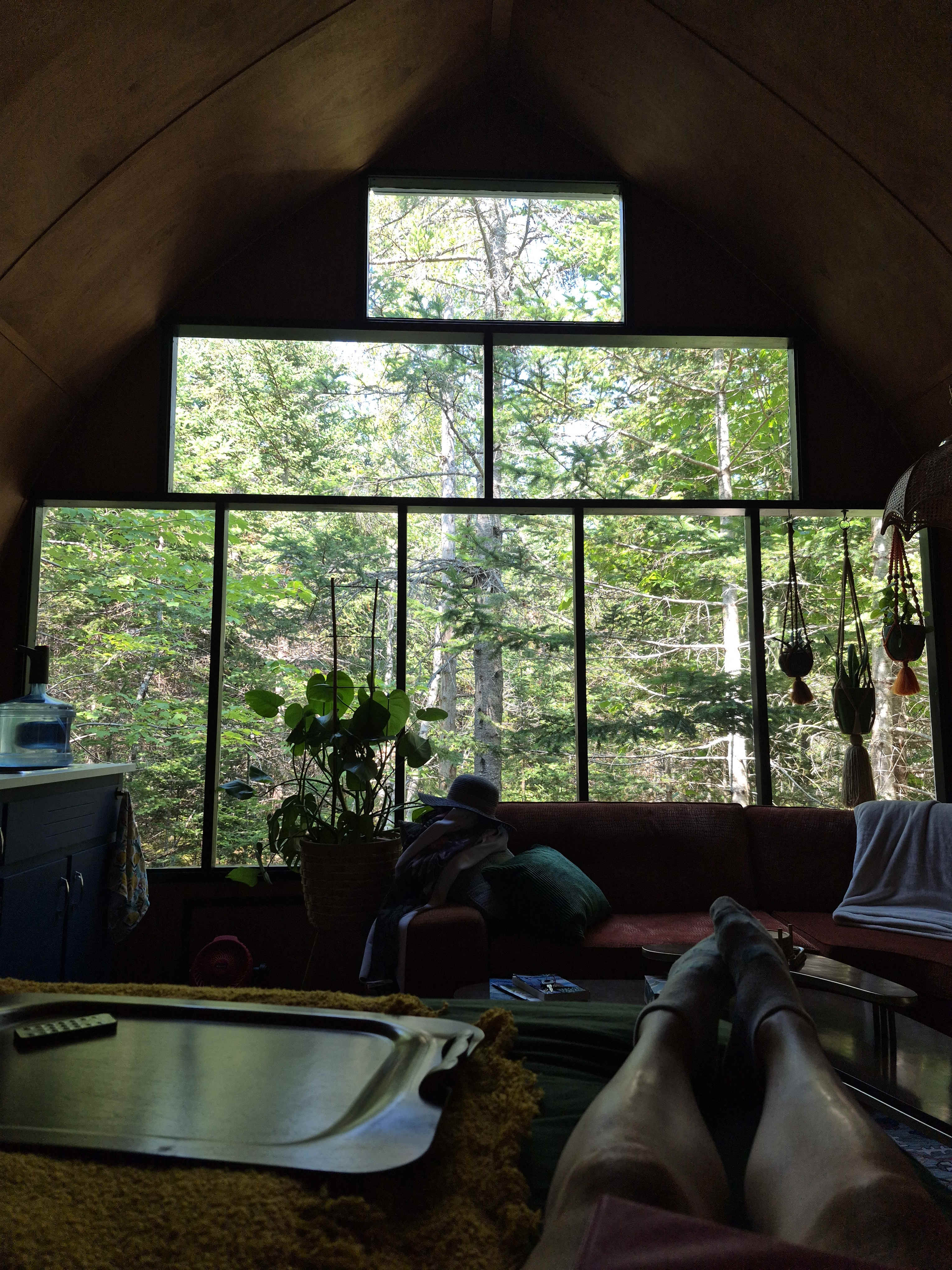 Moss Cottage Forest Glamping