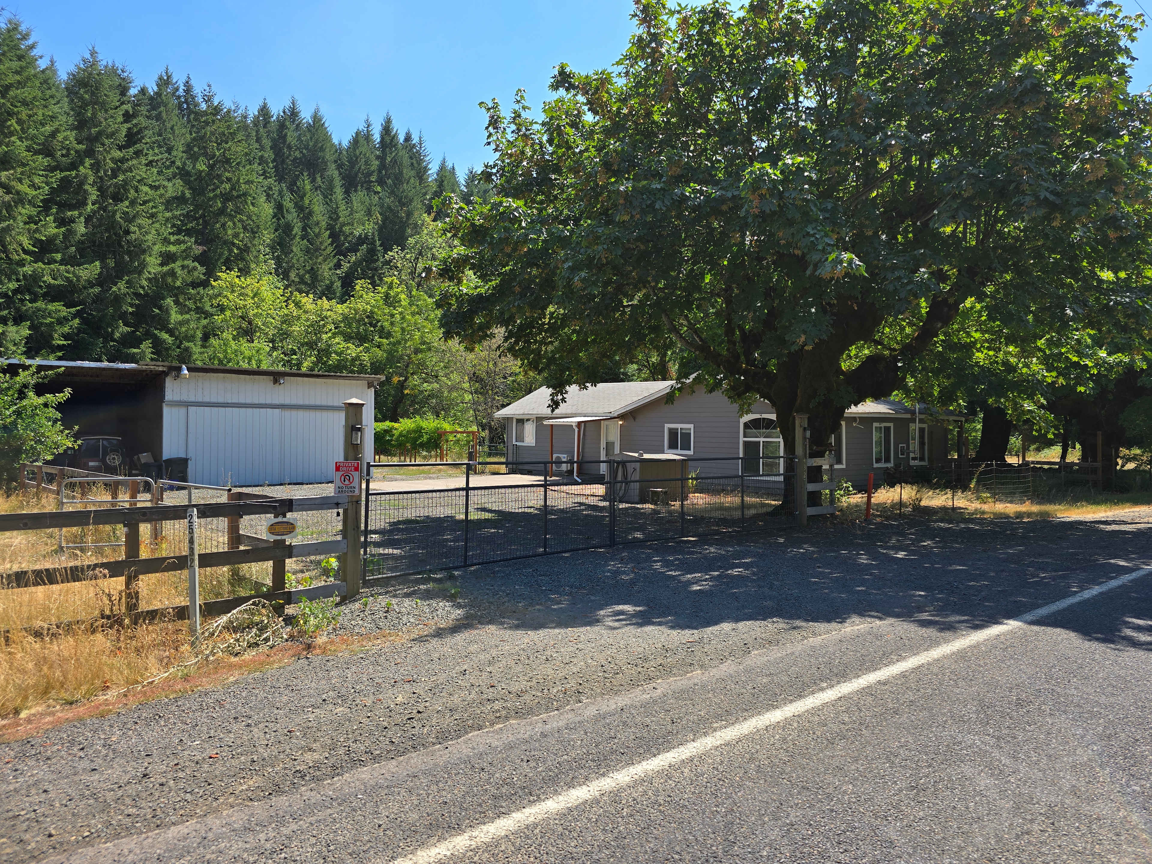 Picture of the site