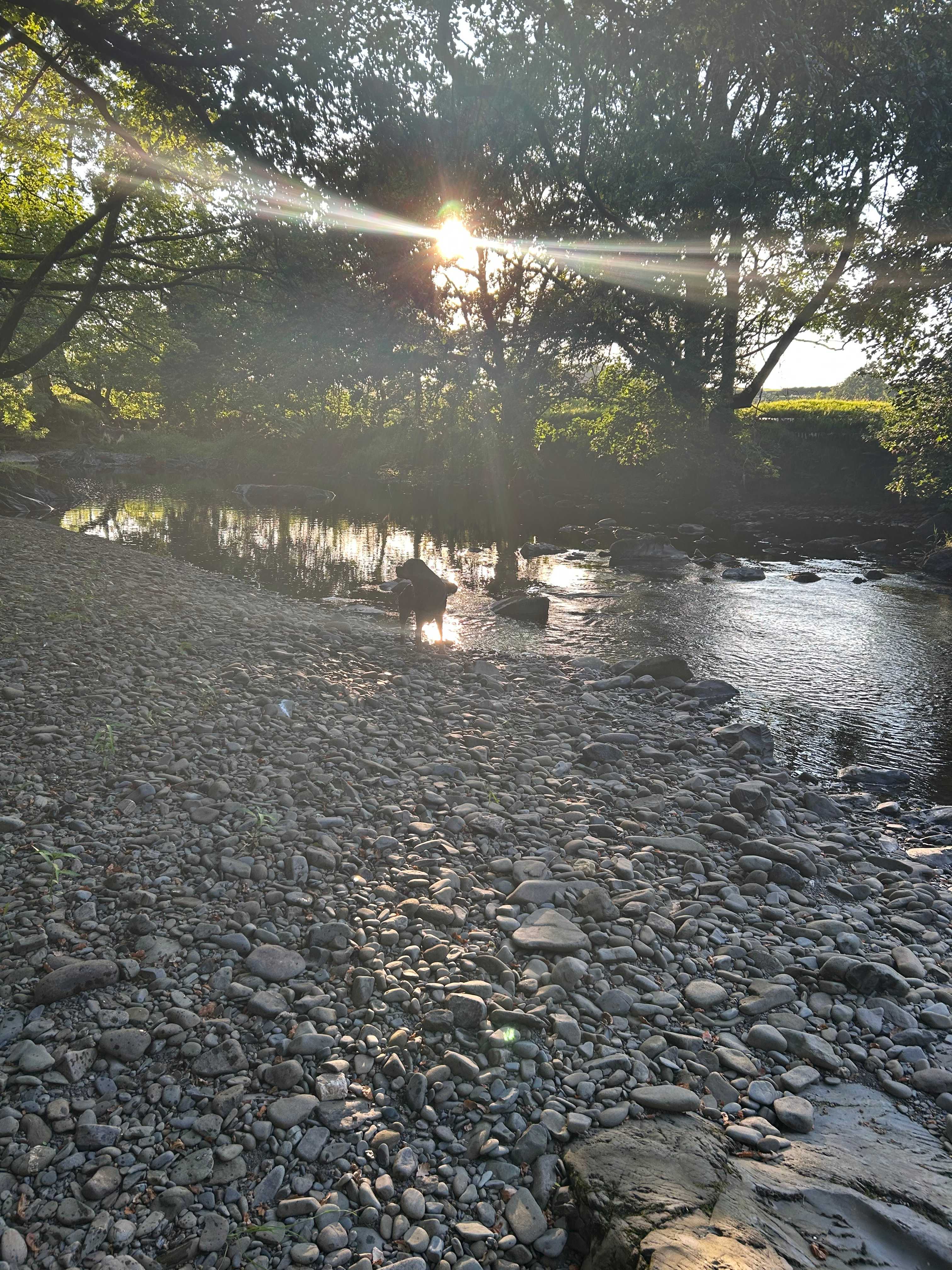 Gwersyllt Rhos y Gallt Campsite