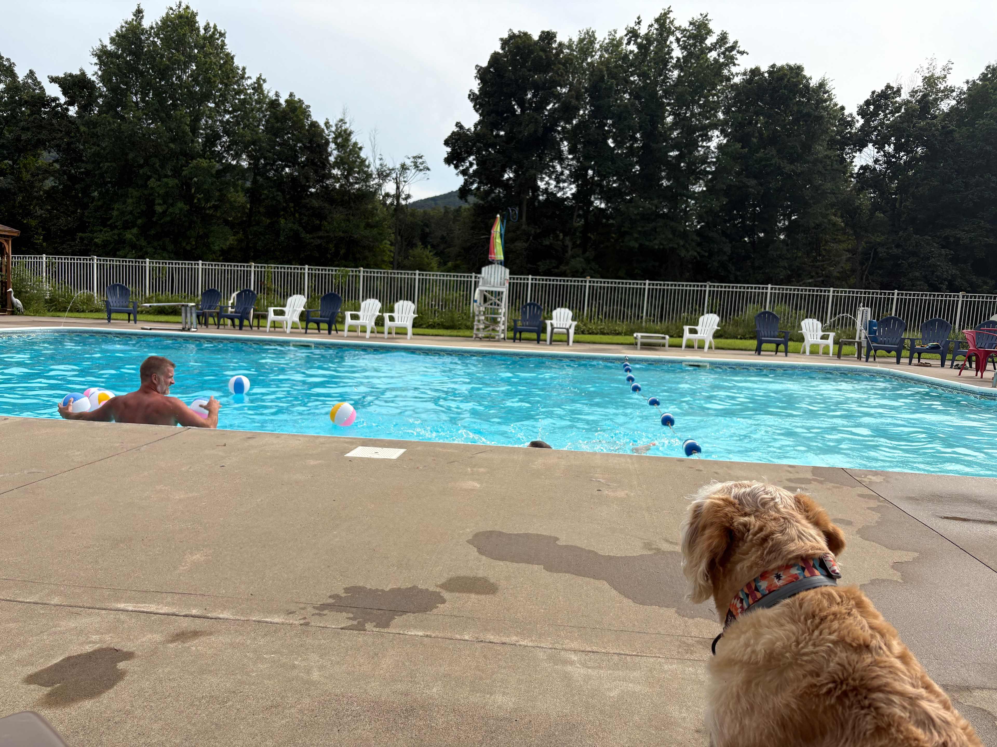 Salt water pool 