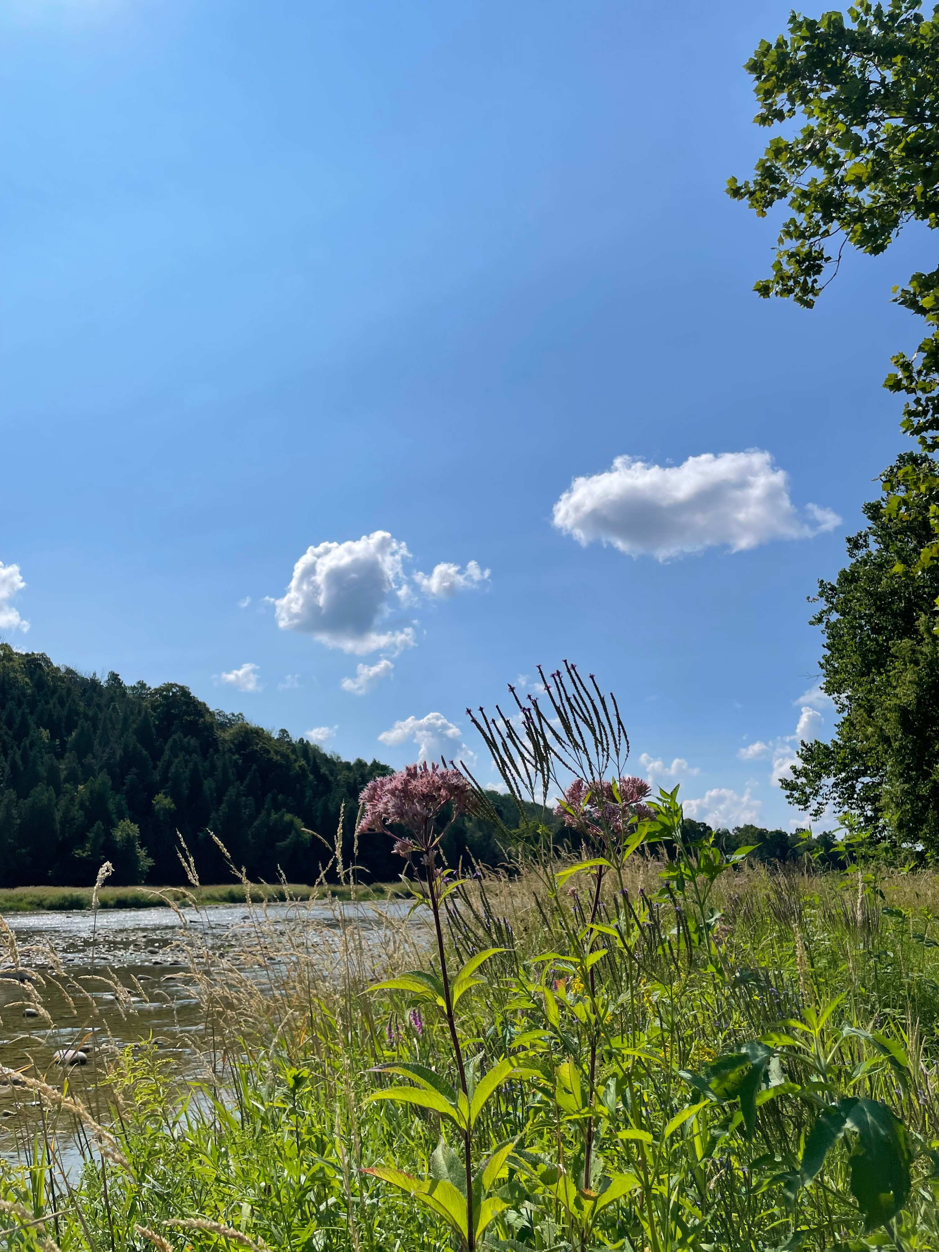 The Riverbend