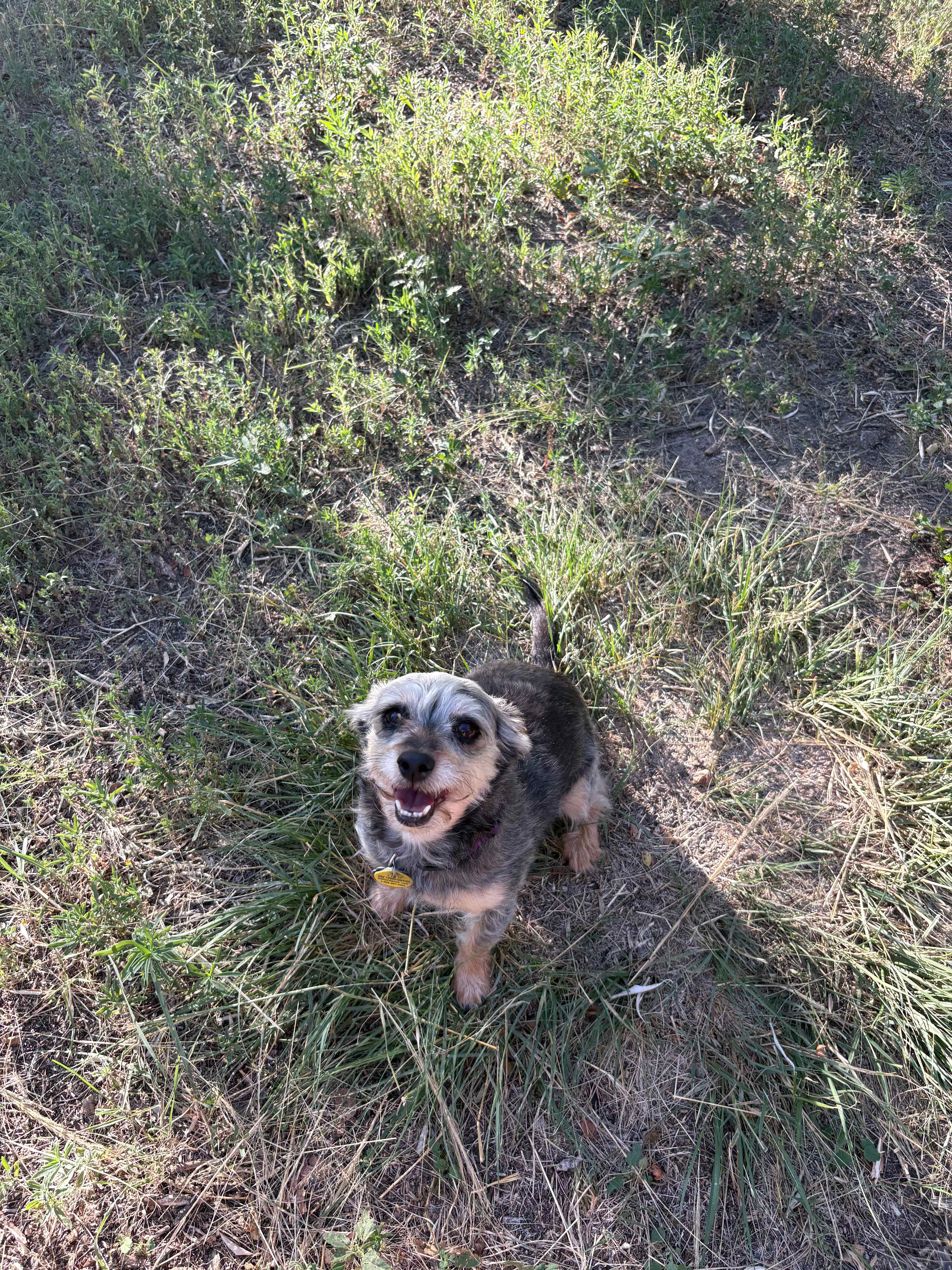 Rancho Algo Mas