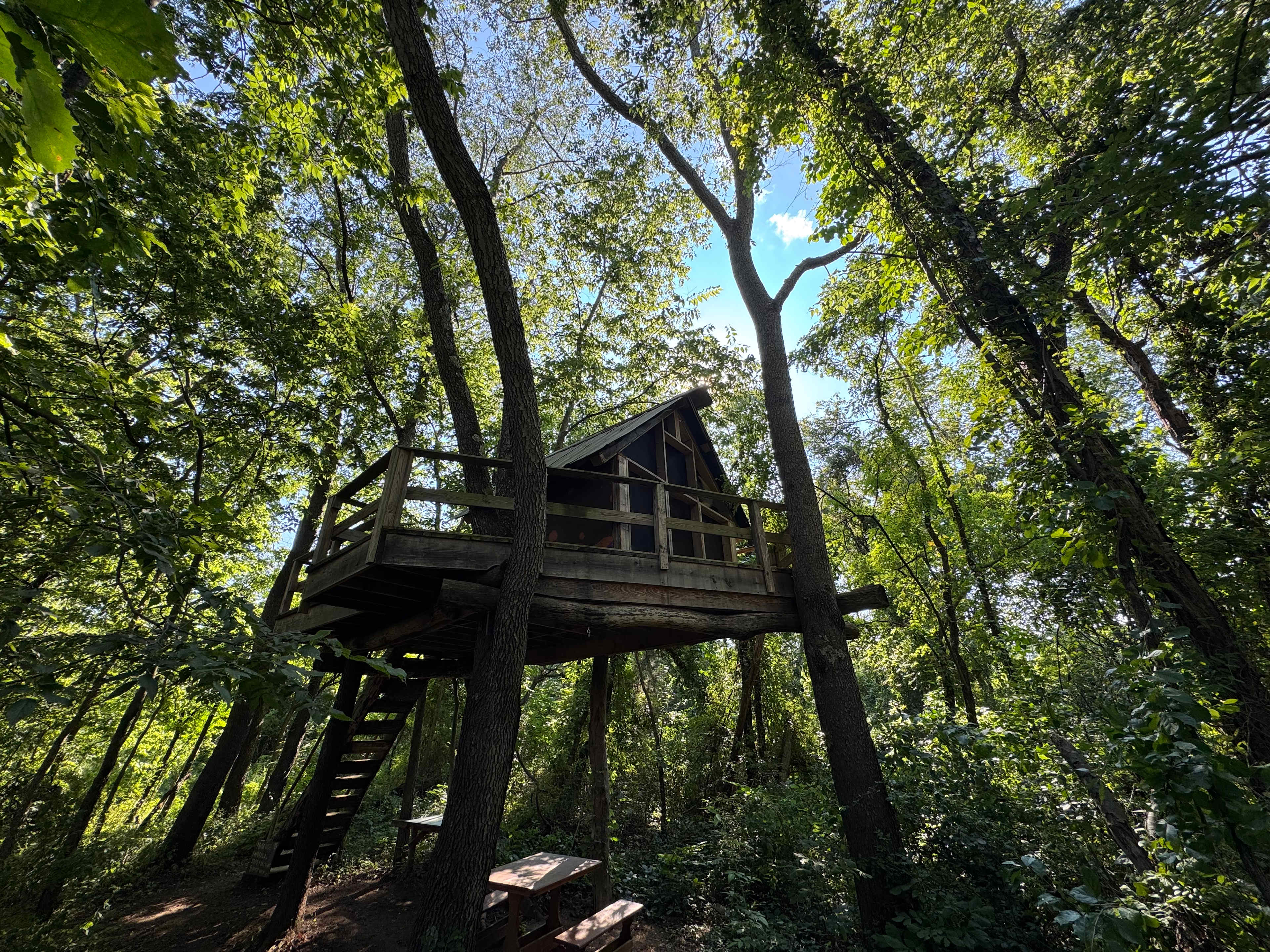 Sacred Roots Herbal Sanctuary