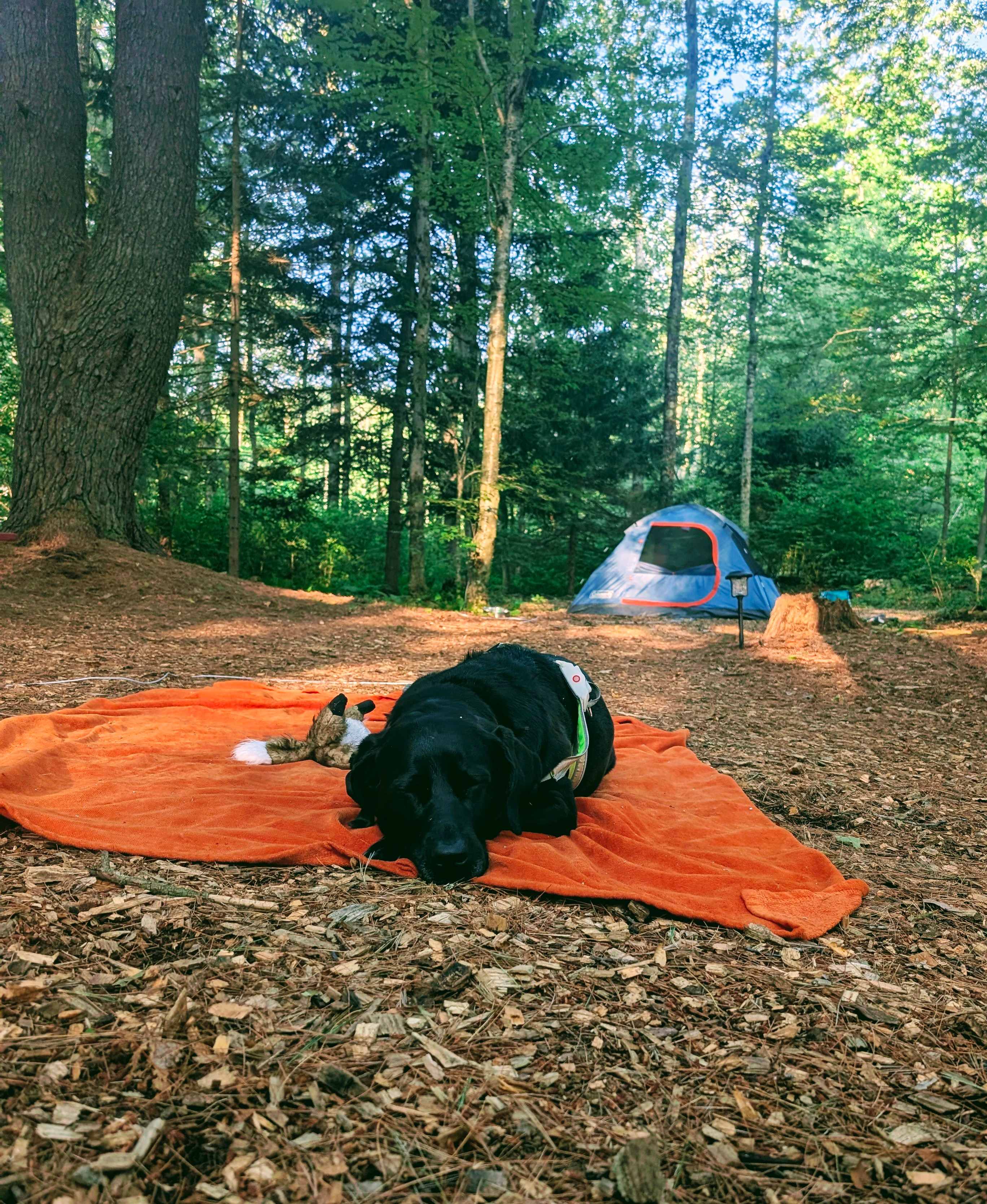 Fernwood on Alan F.’s Land